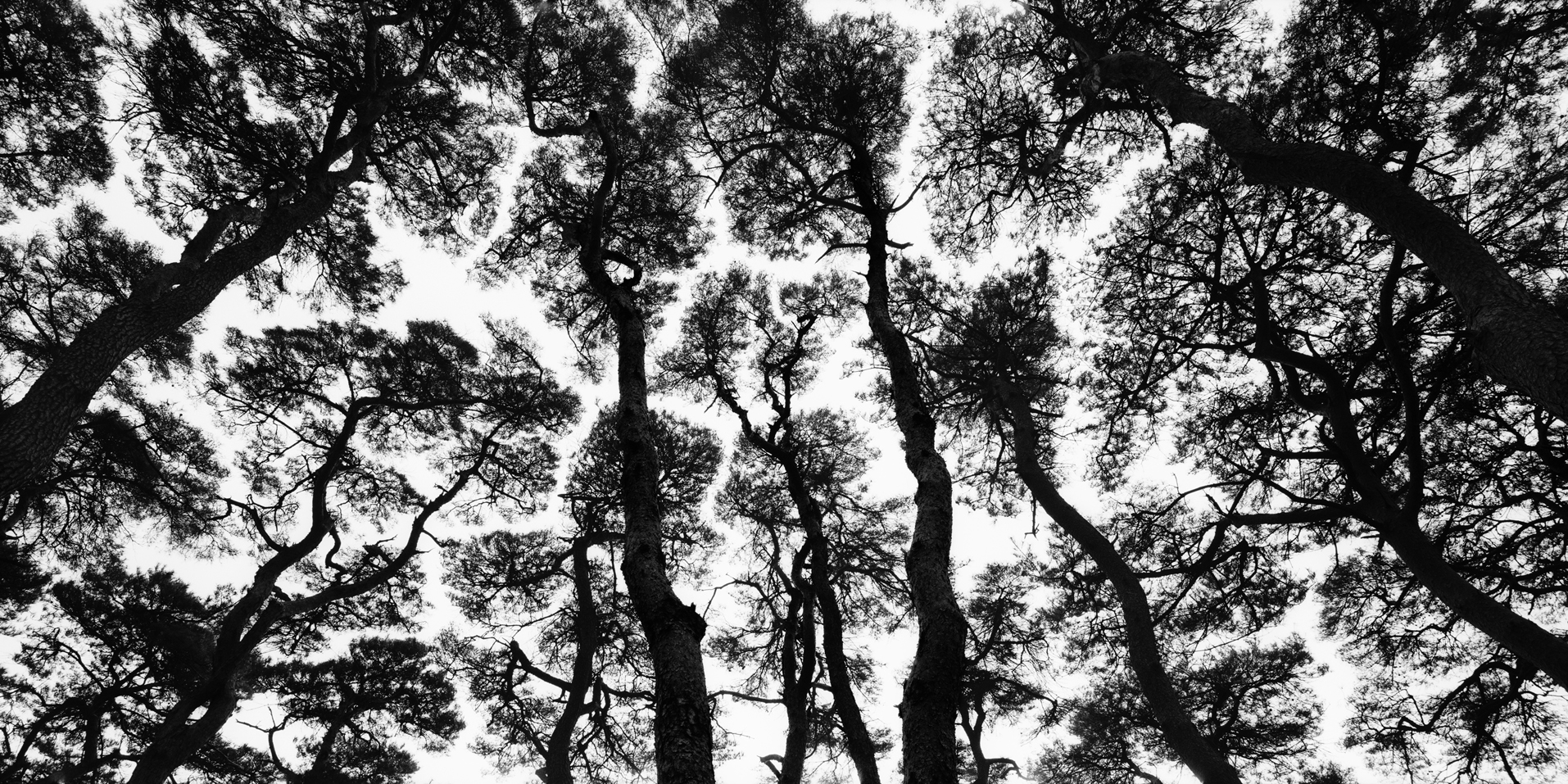 snm1a-050h_5097306_220307