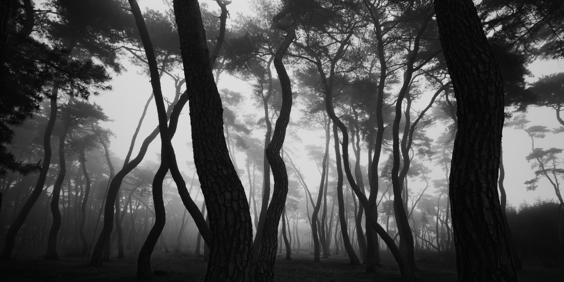 snm1a-051h_5107813_230608