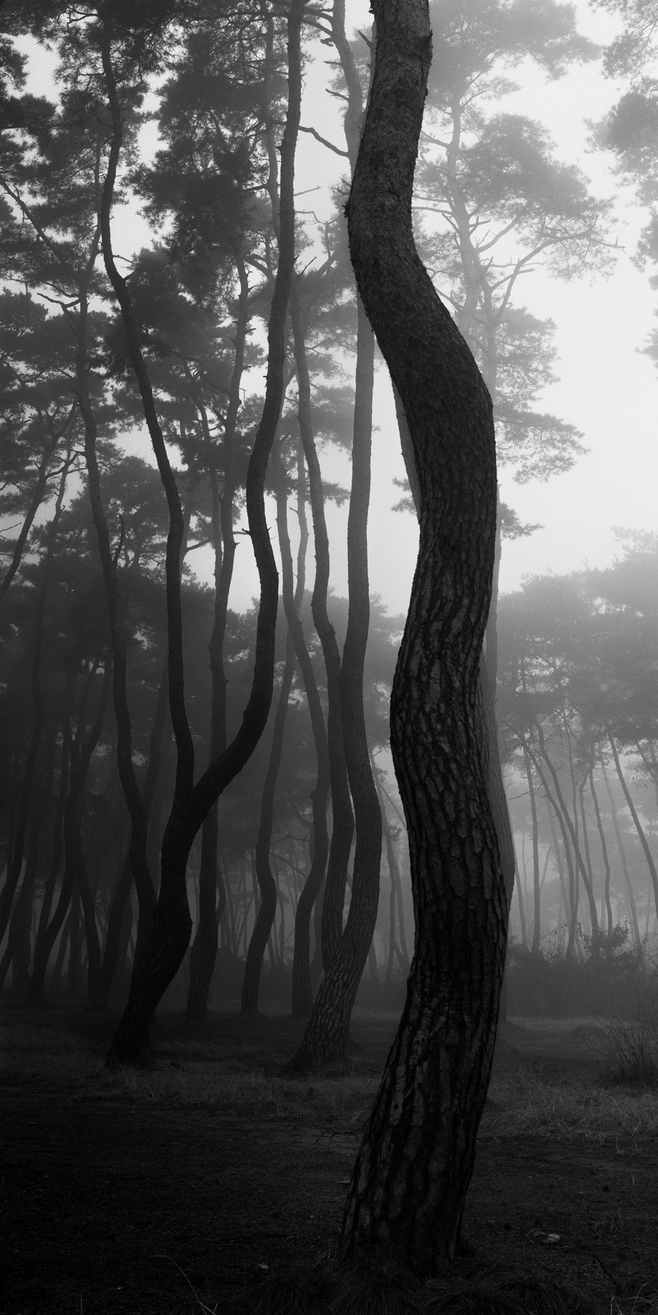 snm1a-052v_5098095_270407