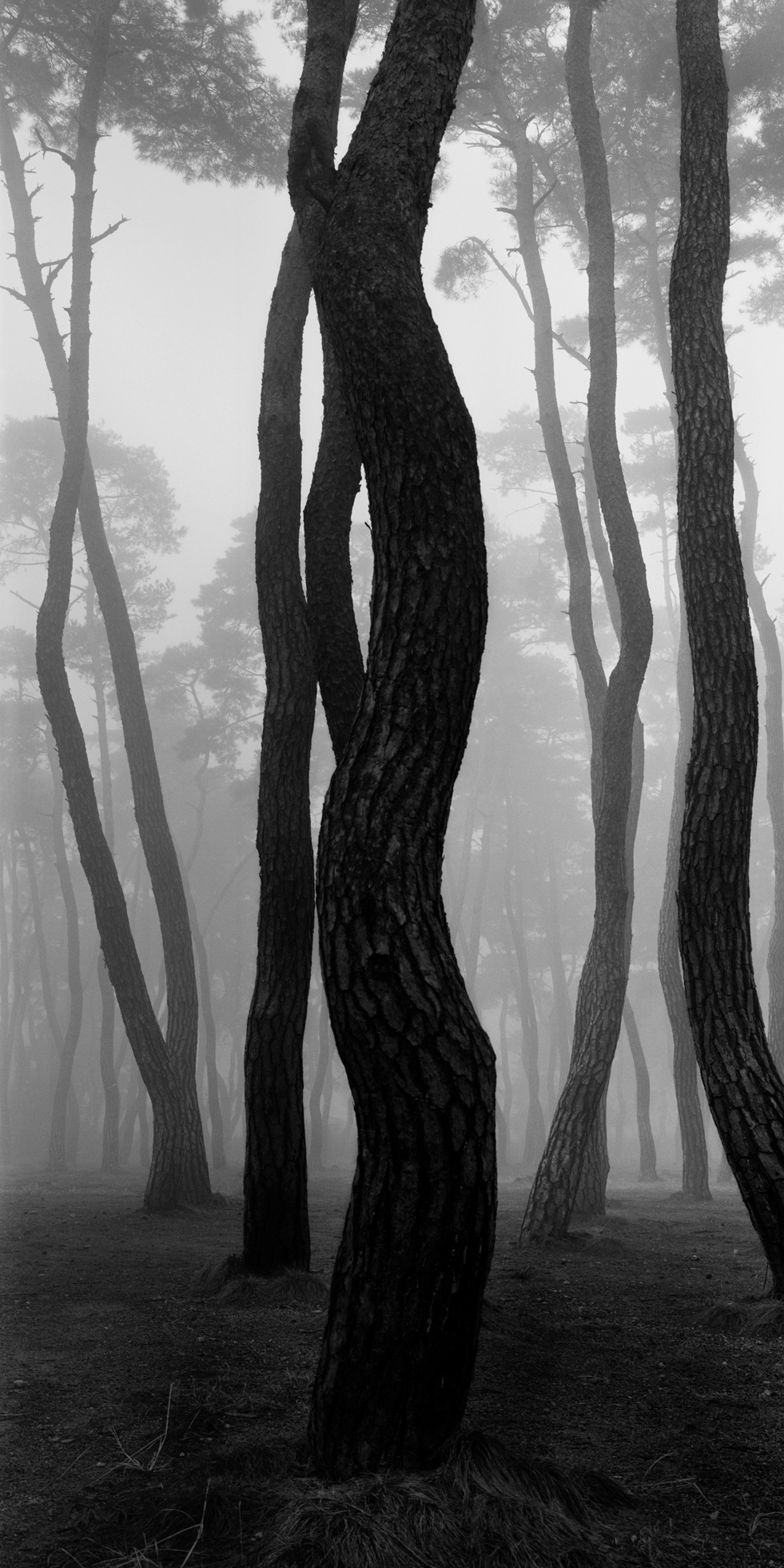 snm1a-053v_5089257_080406