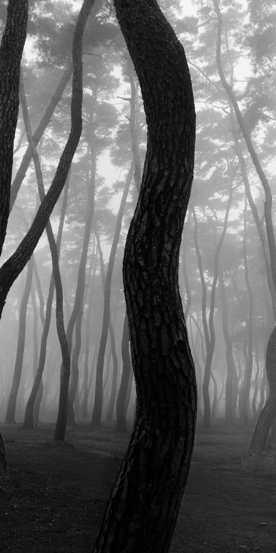 snm1a-054v_5089257_080406