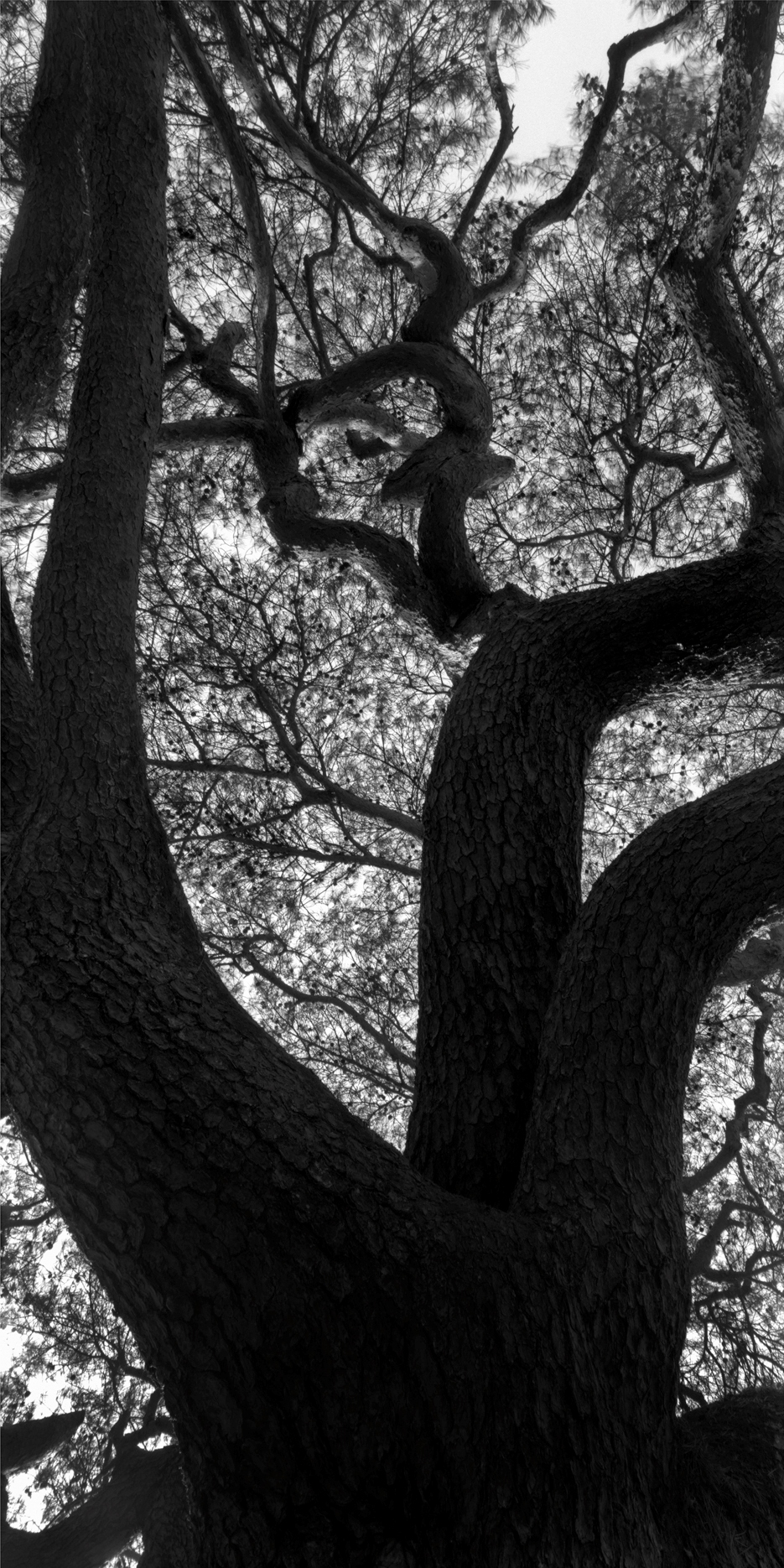 snm1a-055v_5097306_220307