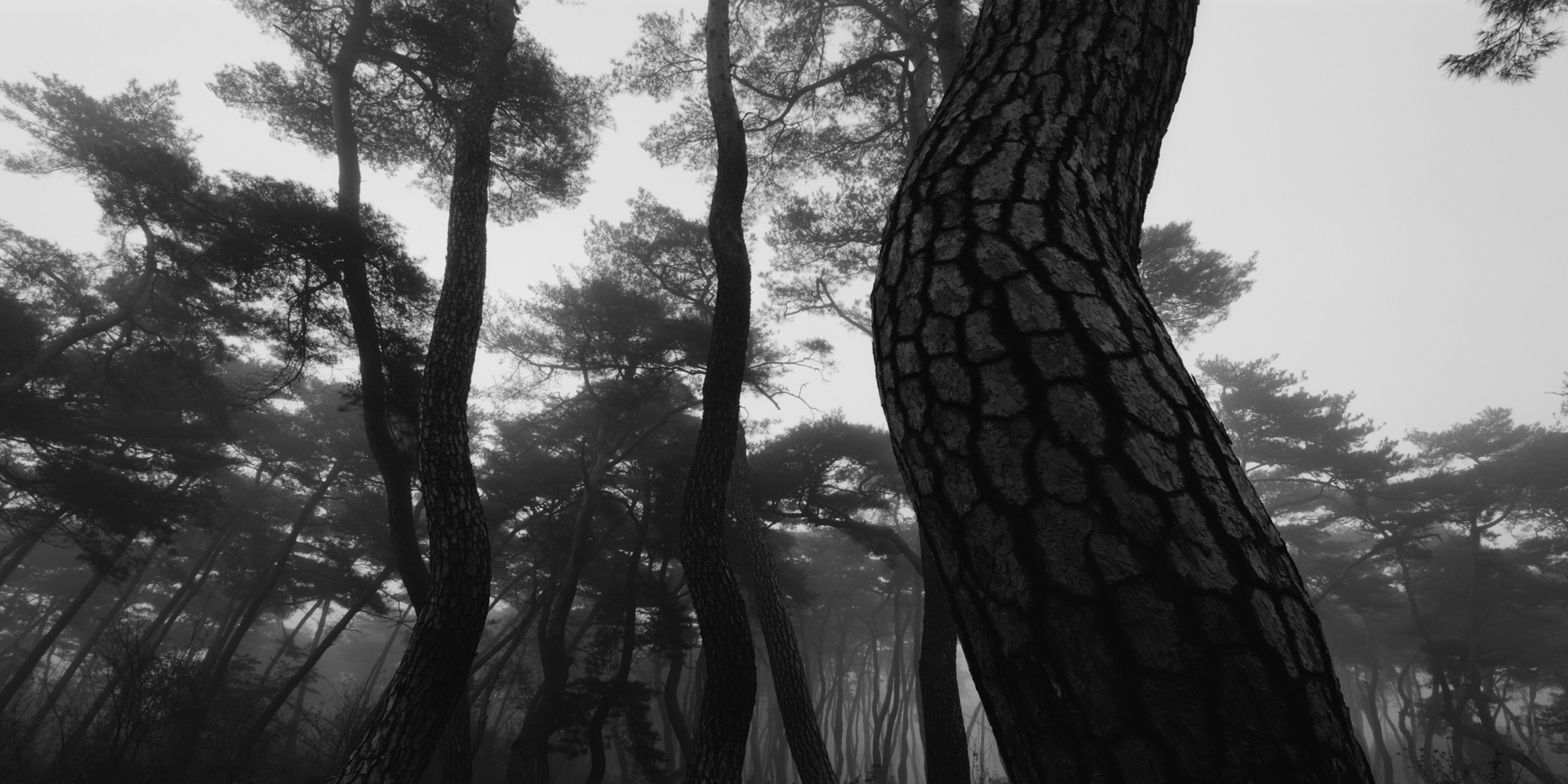 snm1a-056h_5107813_240608