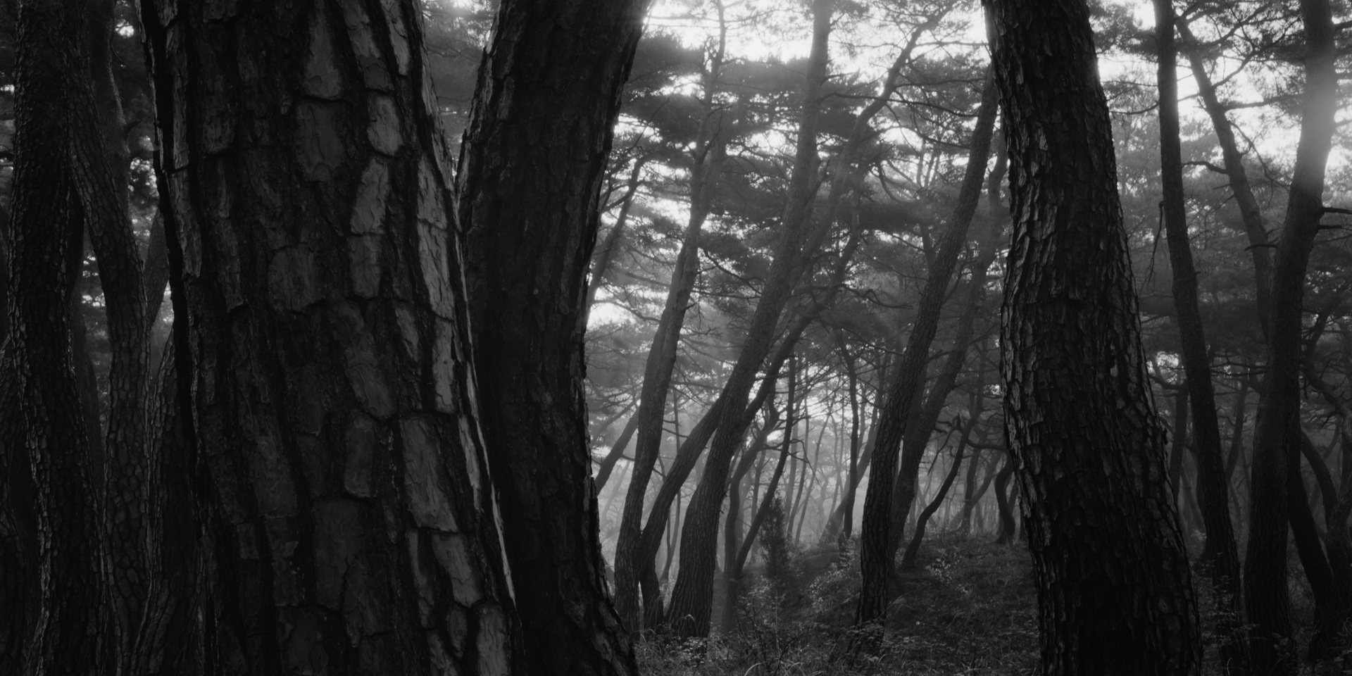 snm1a-057h_5107813_230608