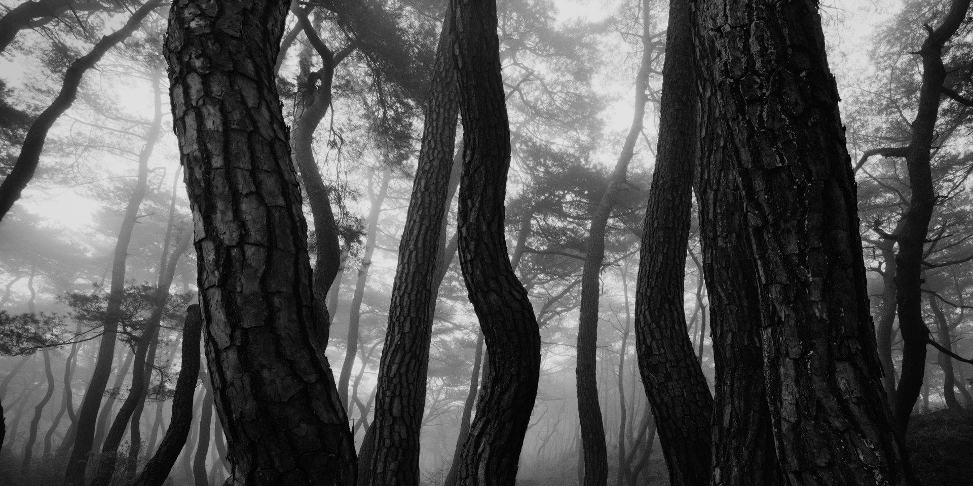 snm1a-058h_5107813_230608