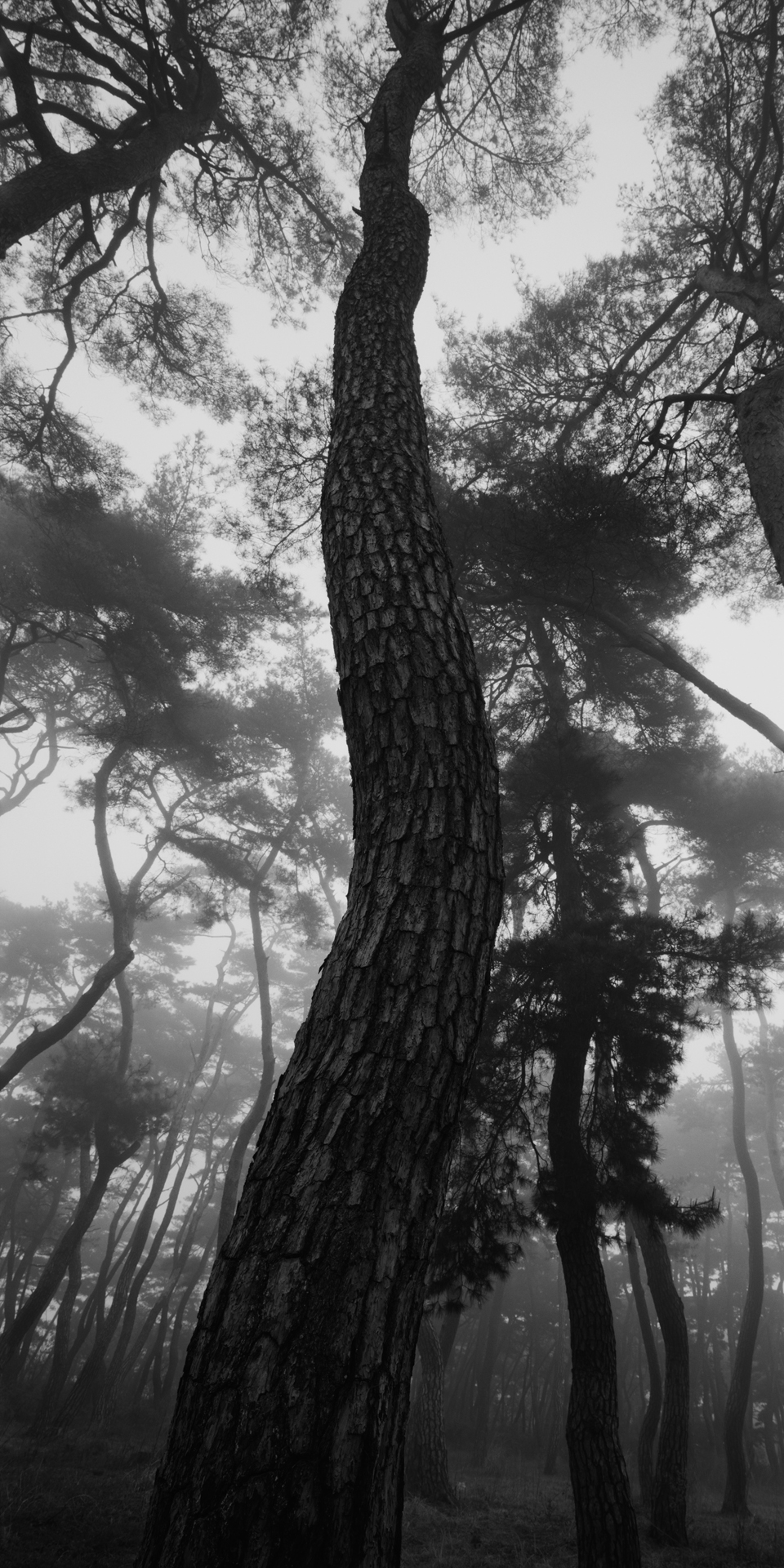 snm1a-059v_5107813_240608