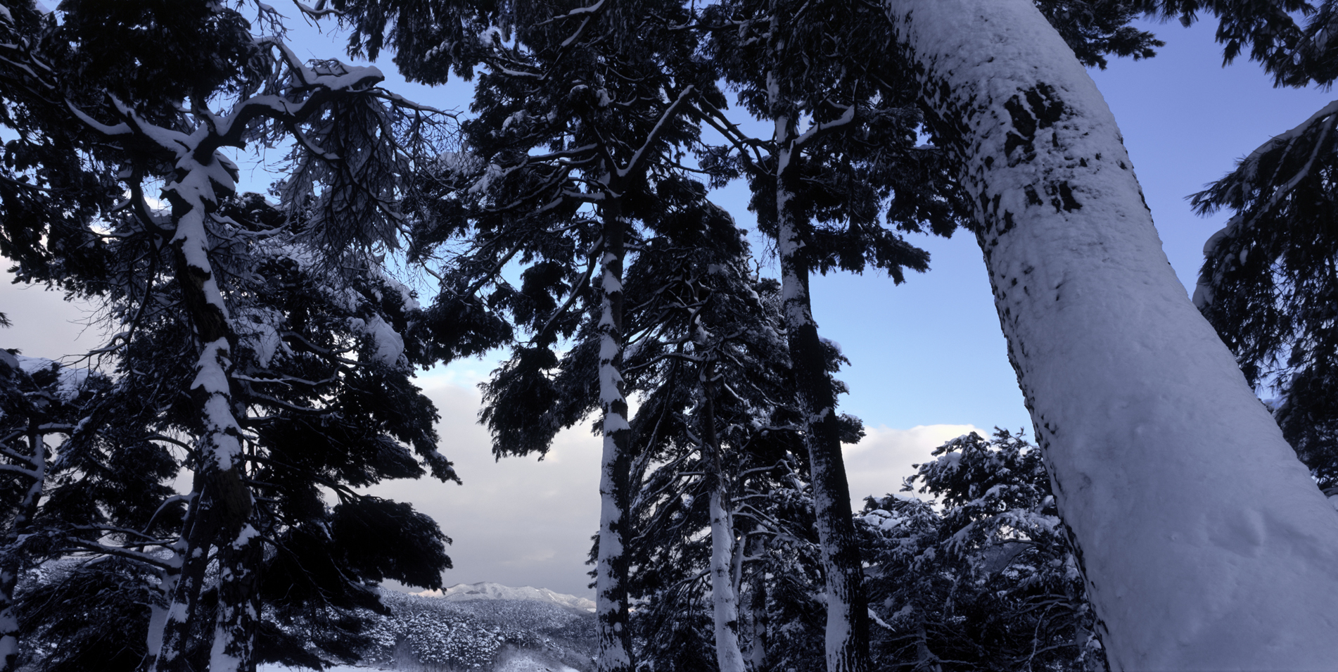 snm1a-060hc_5083495_300705