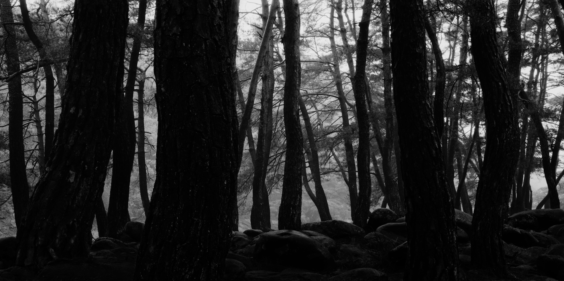 snm1a-061h_5090039_120506