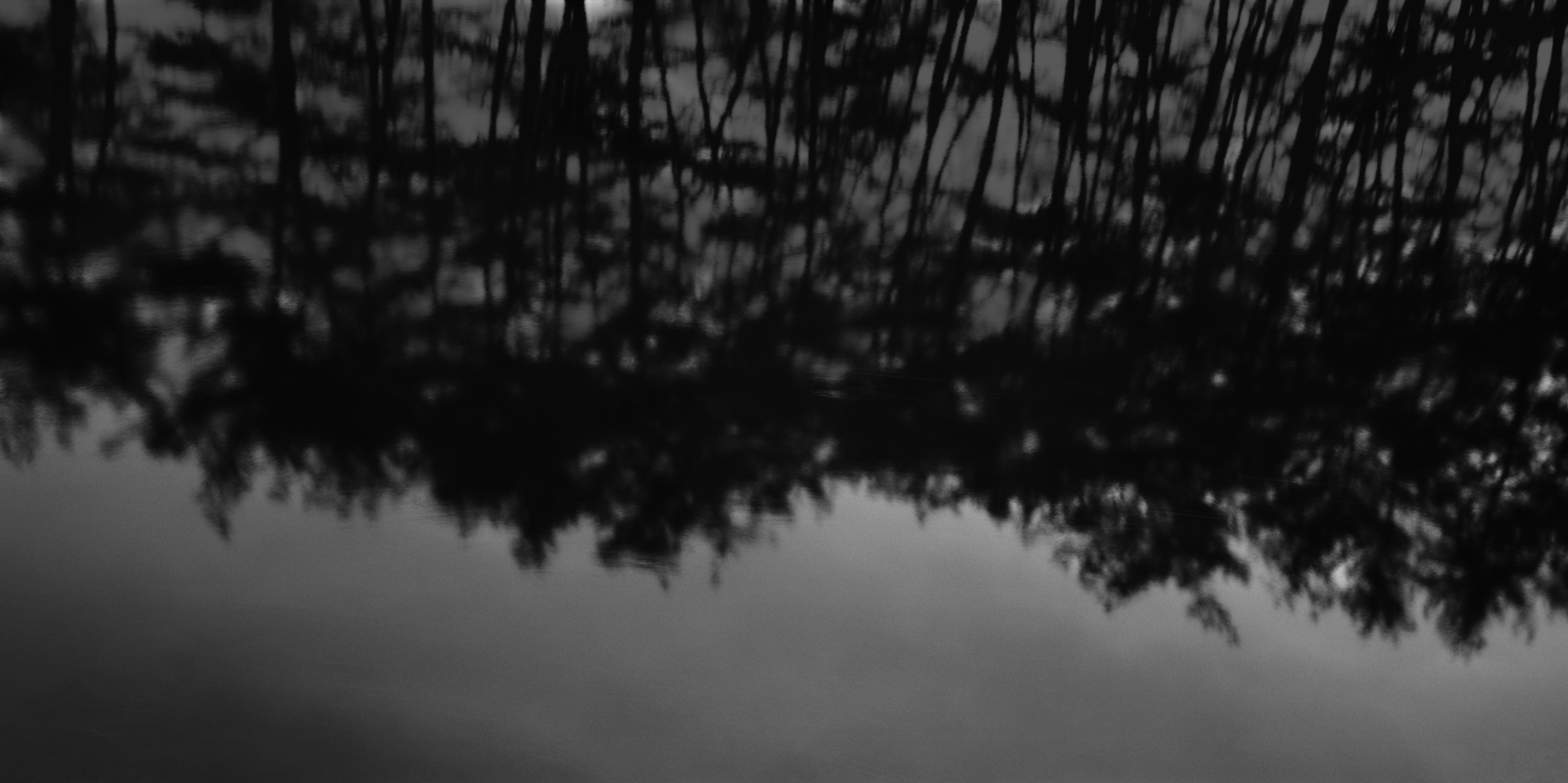 snm1a-065h_5090039_120506