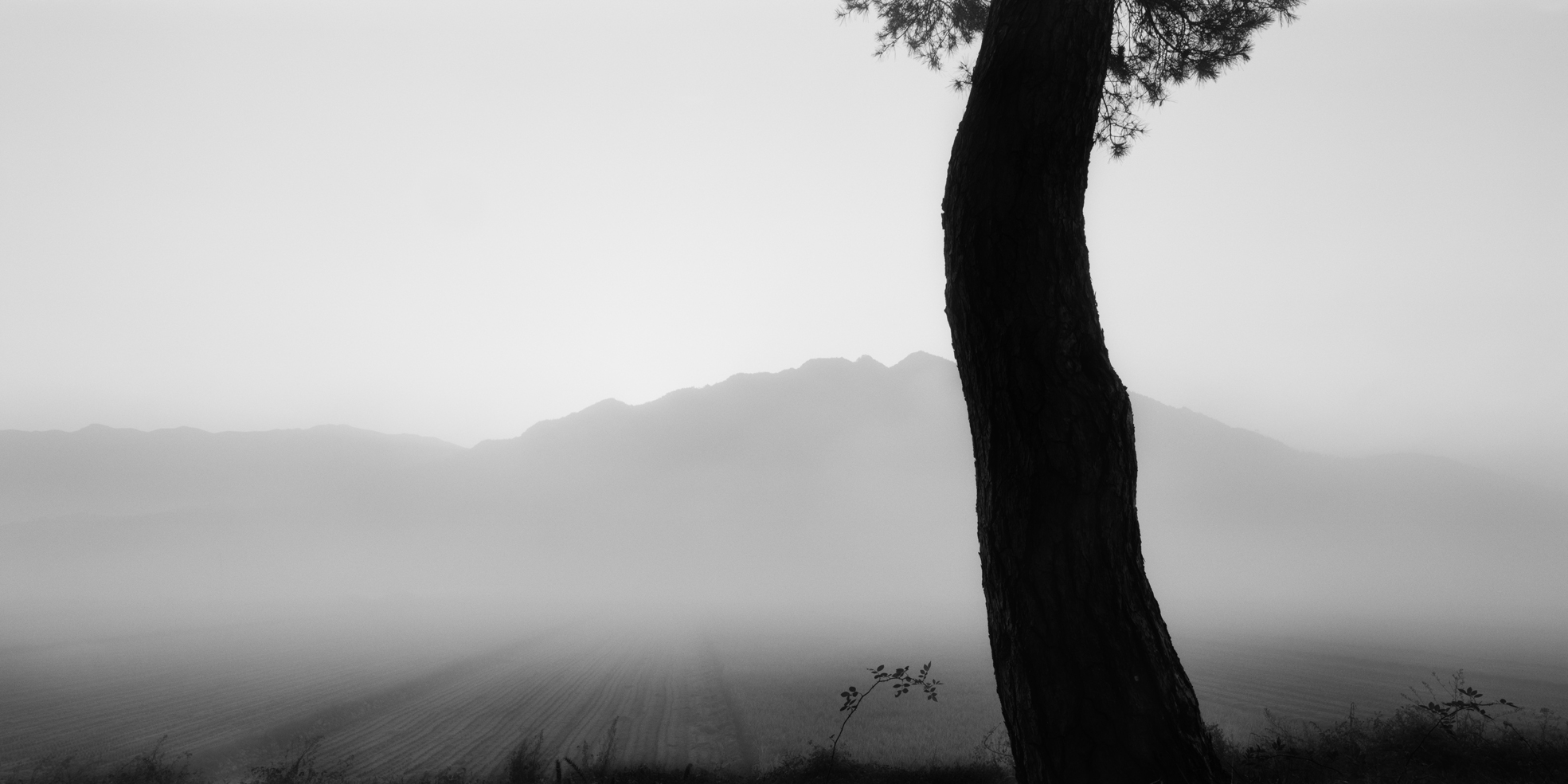 snm1a-066h_5095562_190107