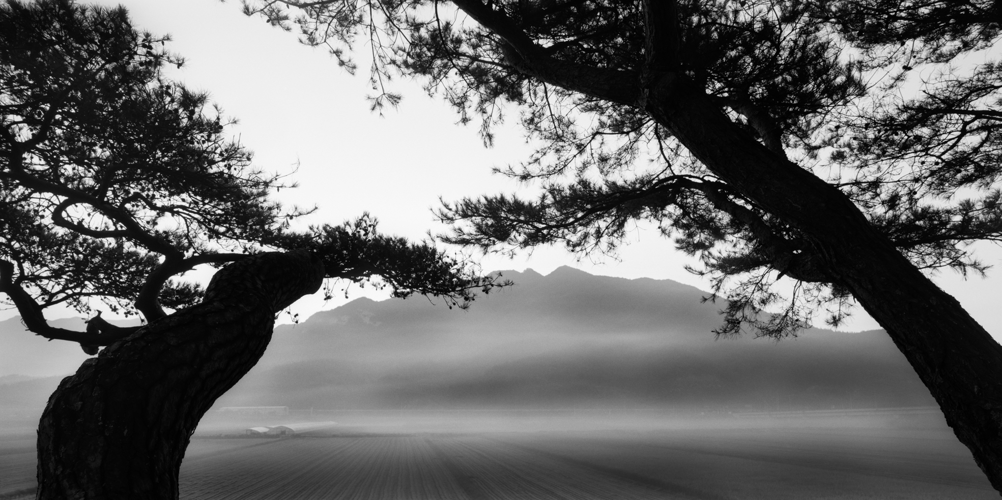 snm1a-067h_5095562_190107