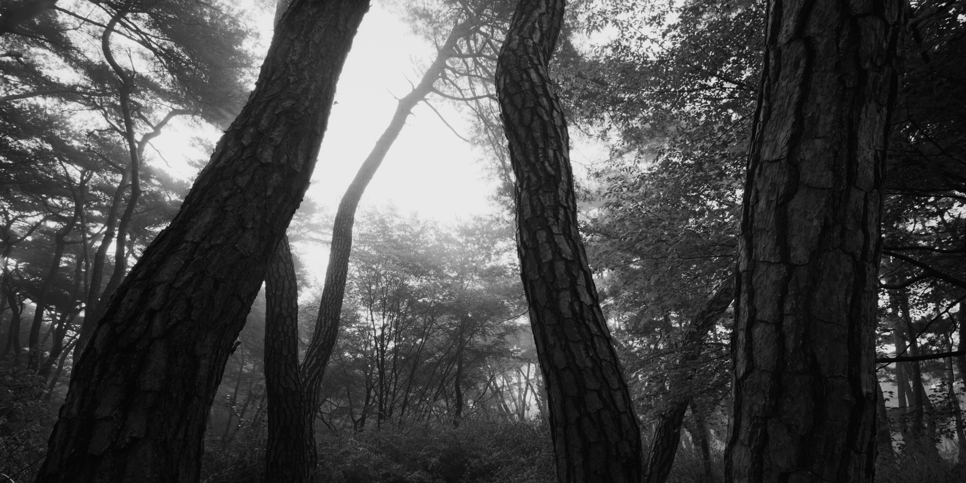 snm1a-068h_5107813_240608