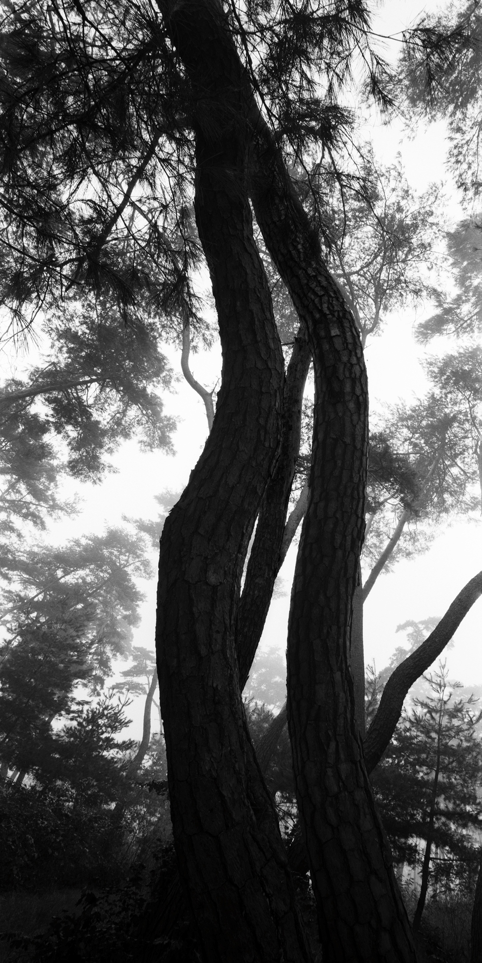 snm1a-070h_5096572_230207