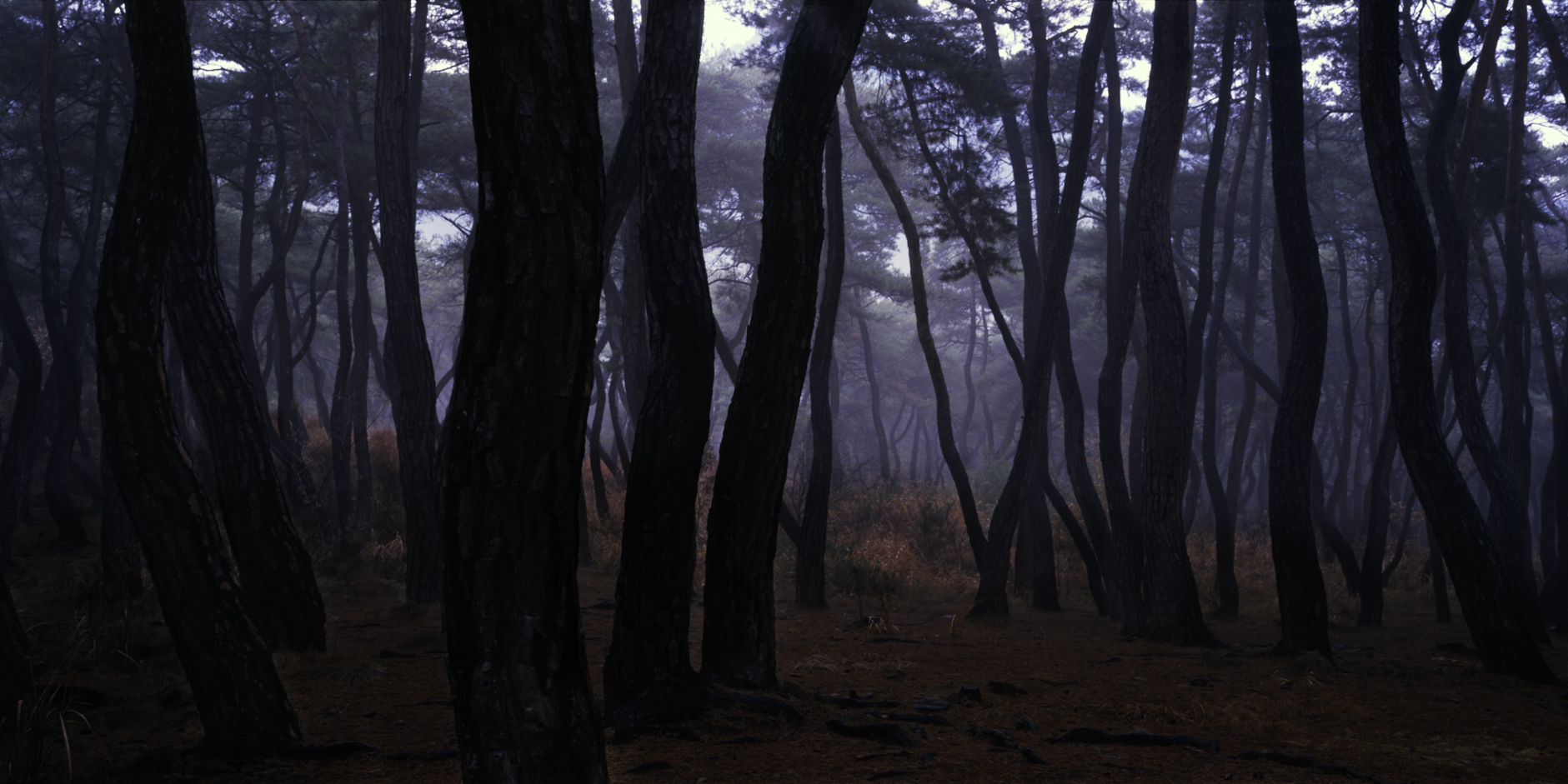 snm1a-071hc_5091032_030706