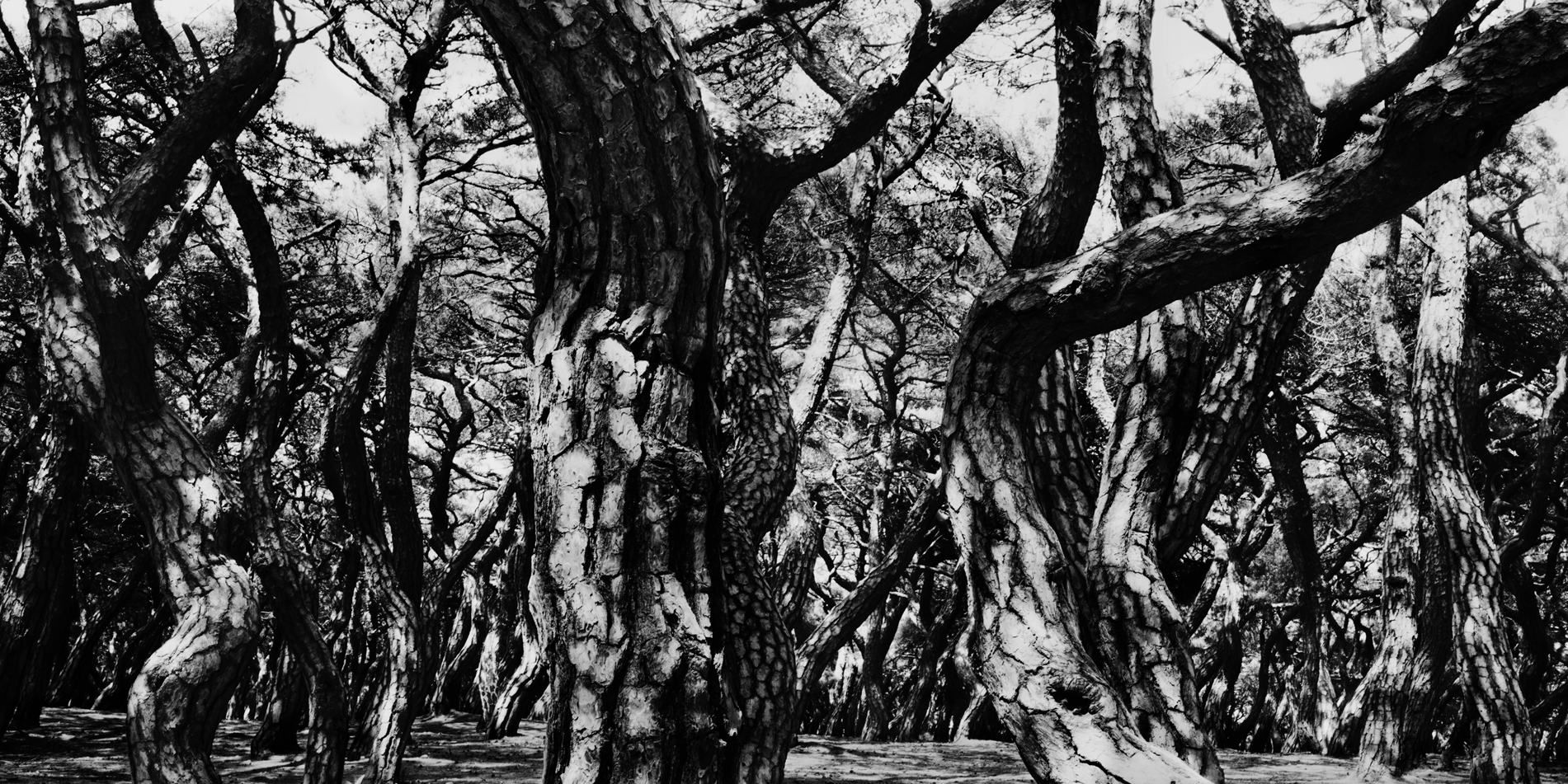 snm1a-072h_5097306_220307