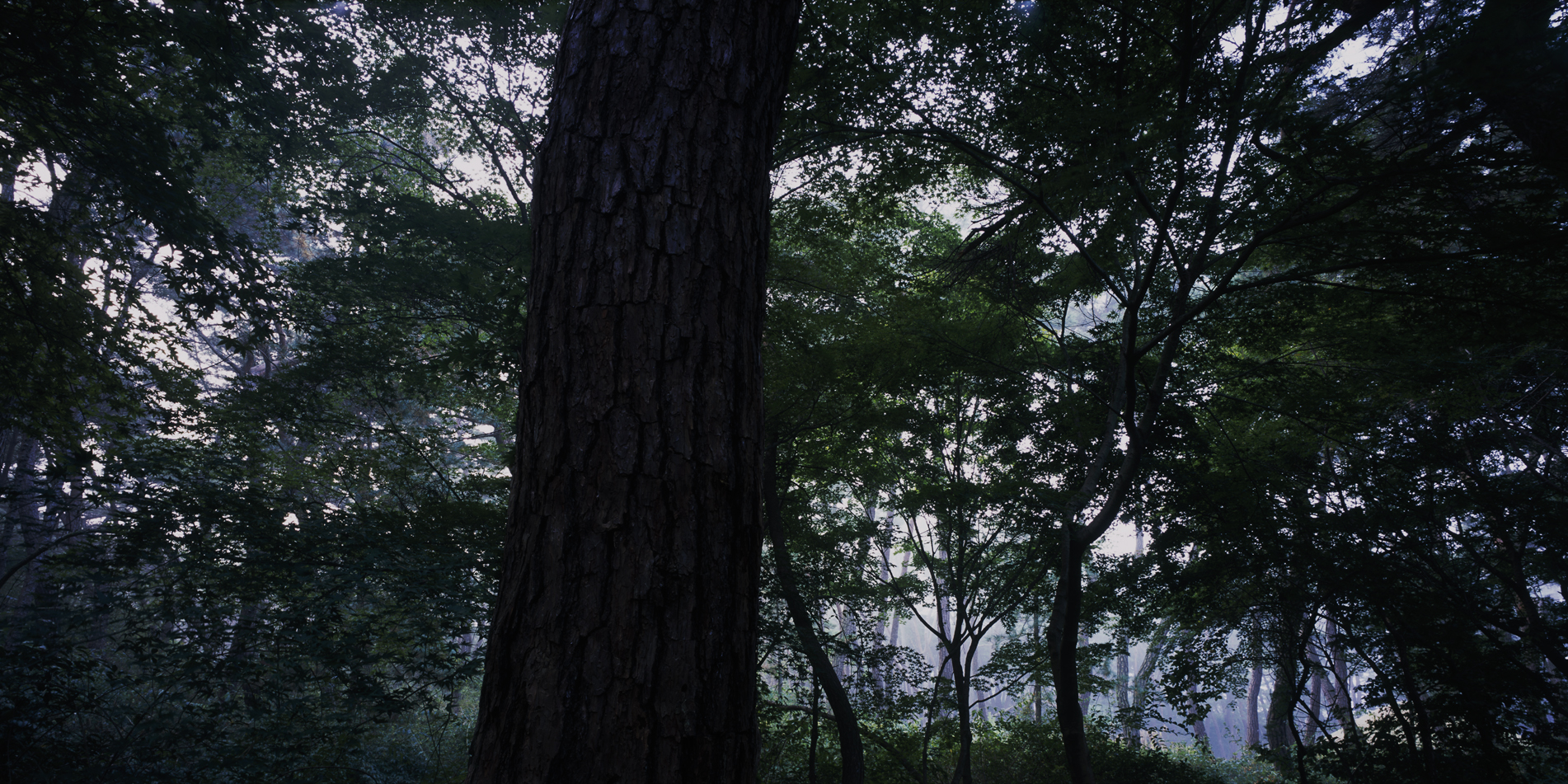 snm1a-075hc_5096572_230207