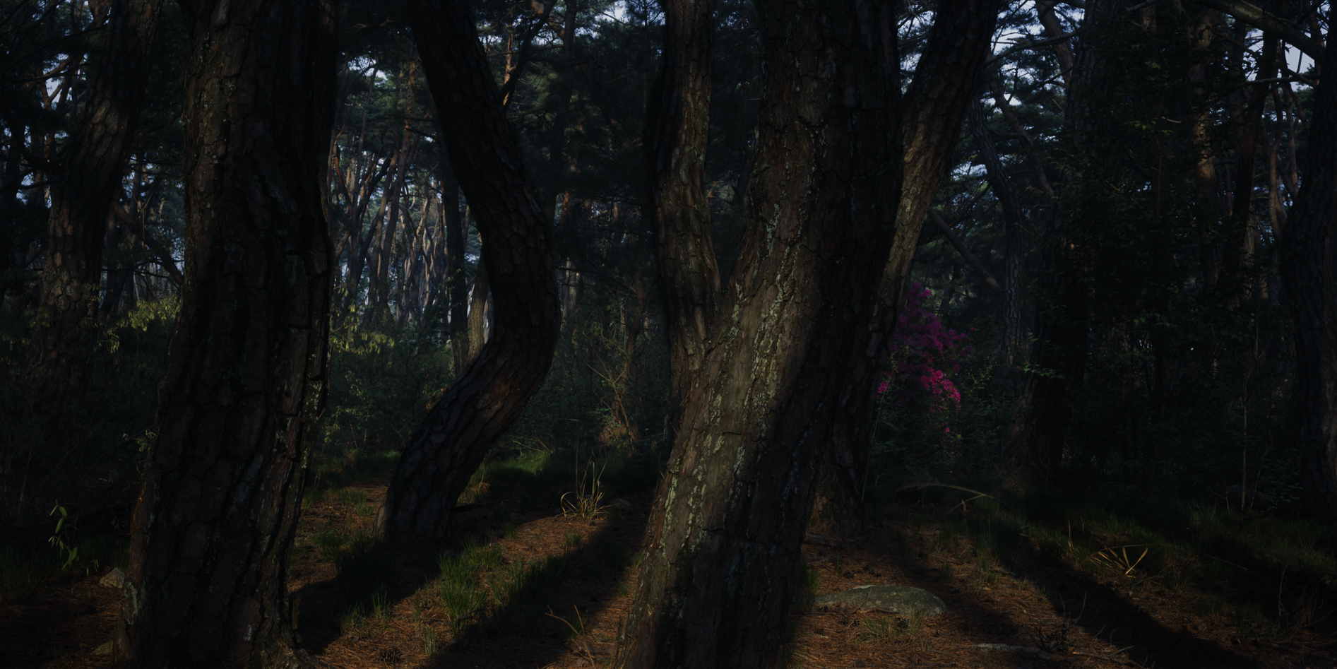 snm1a-076hc_5096572_230207