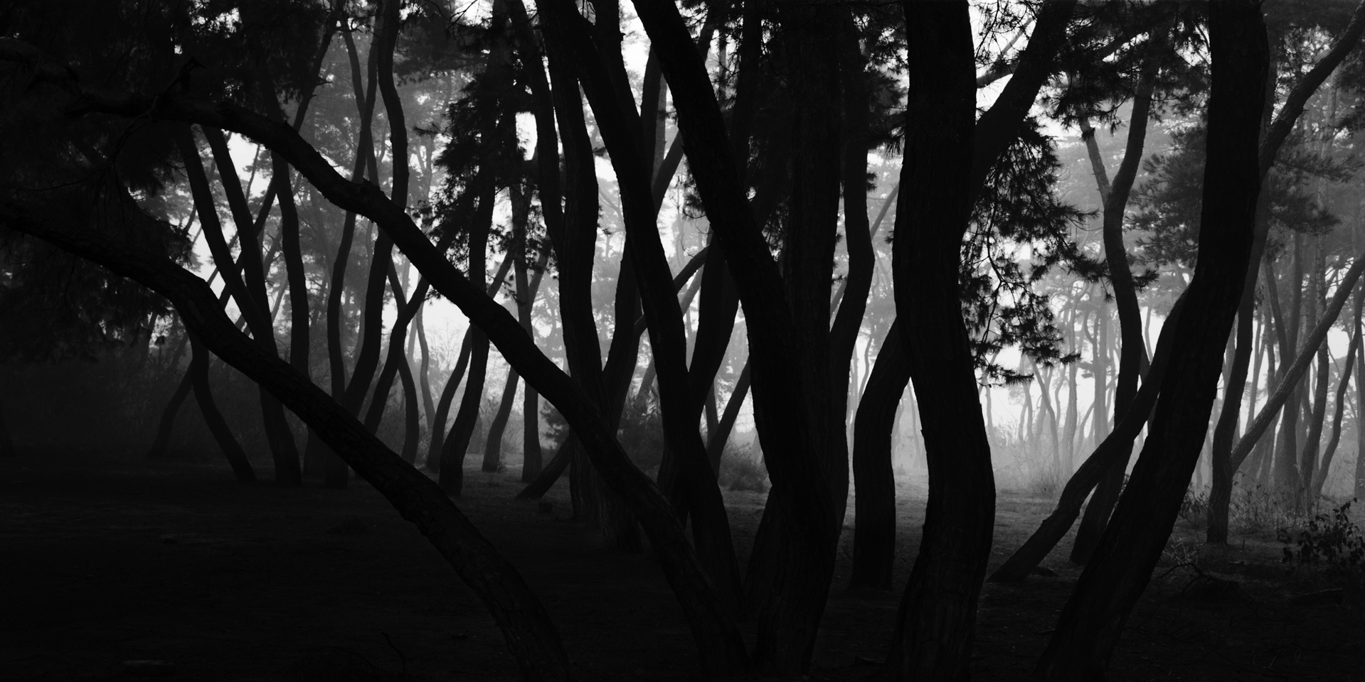 snm1a-077h__5096572_230207