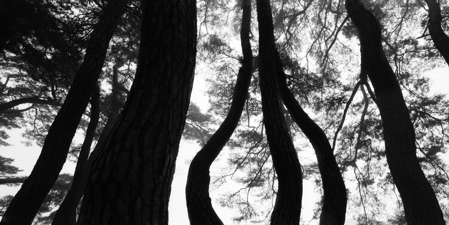 snm1a-078h_5096572_230207