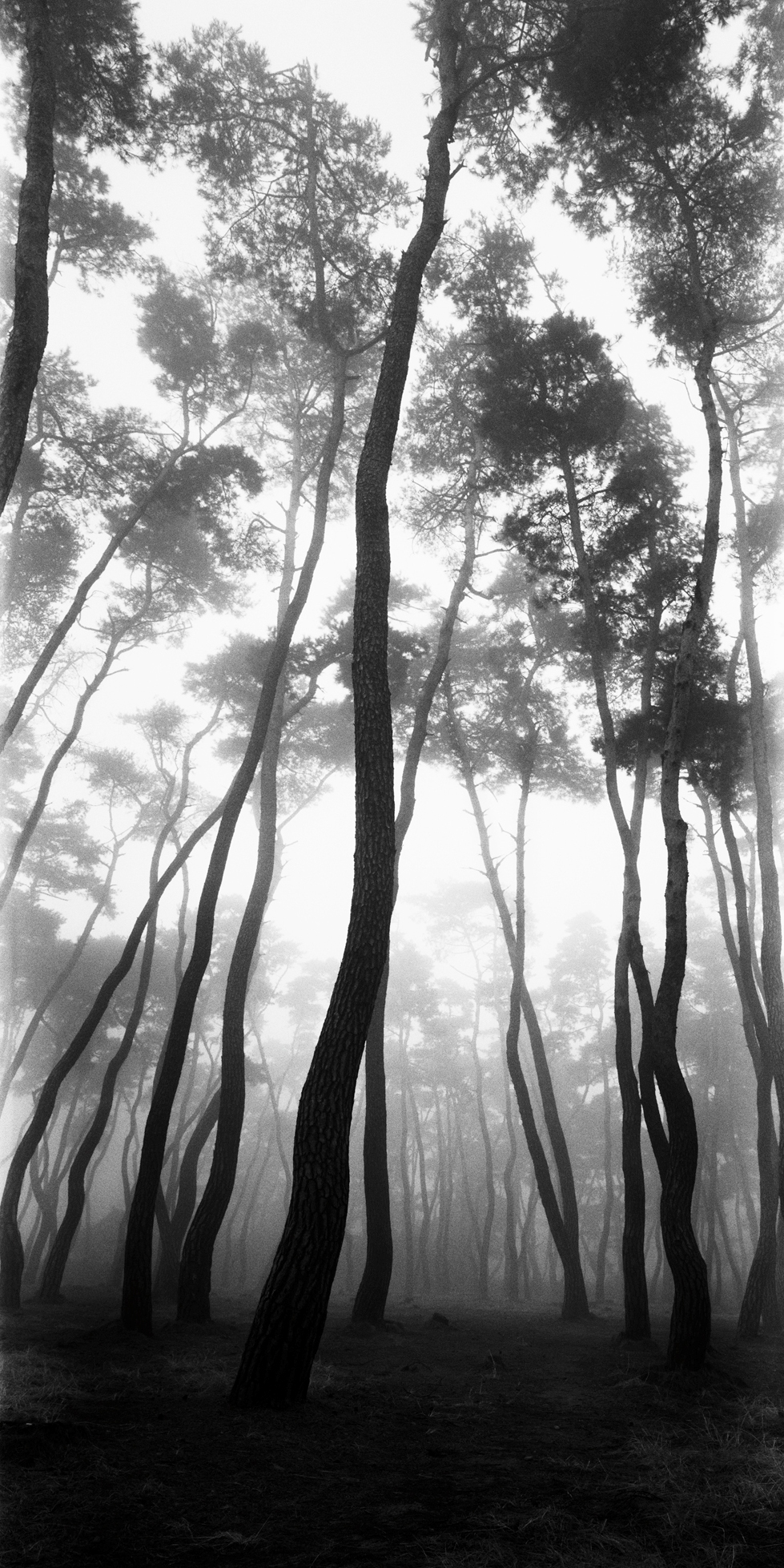 snm1a-080v_5096572_230207