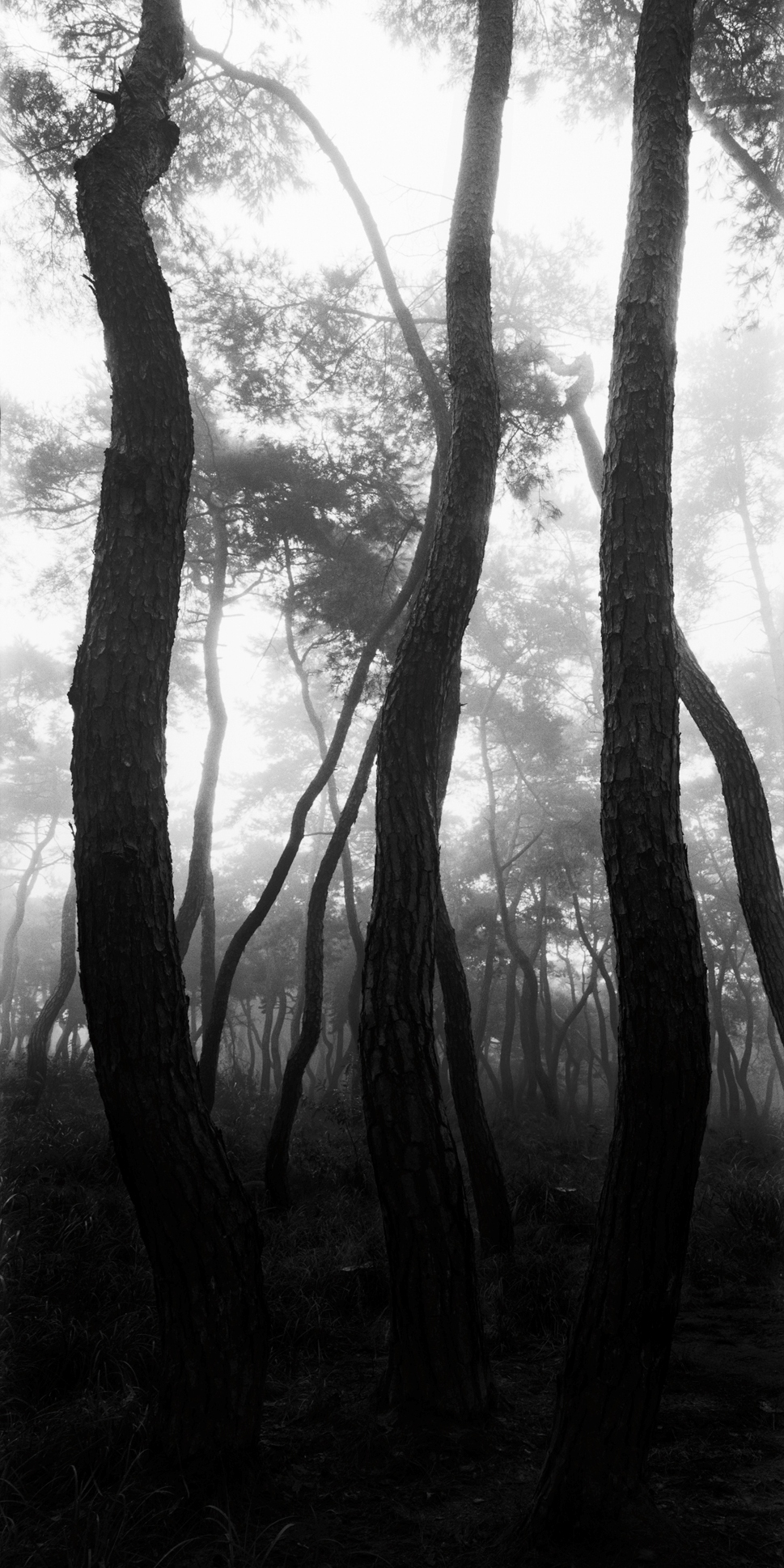 snm1a-081v_5096572_230207