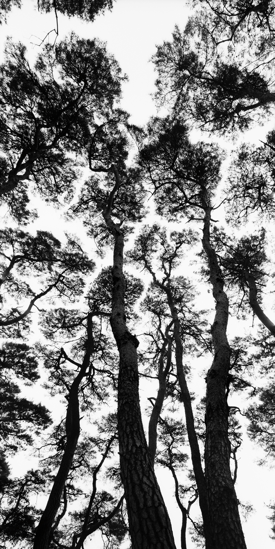 snm1a-082v_5096572_230207