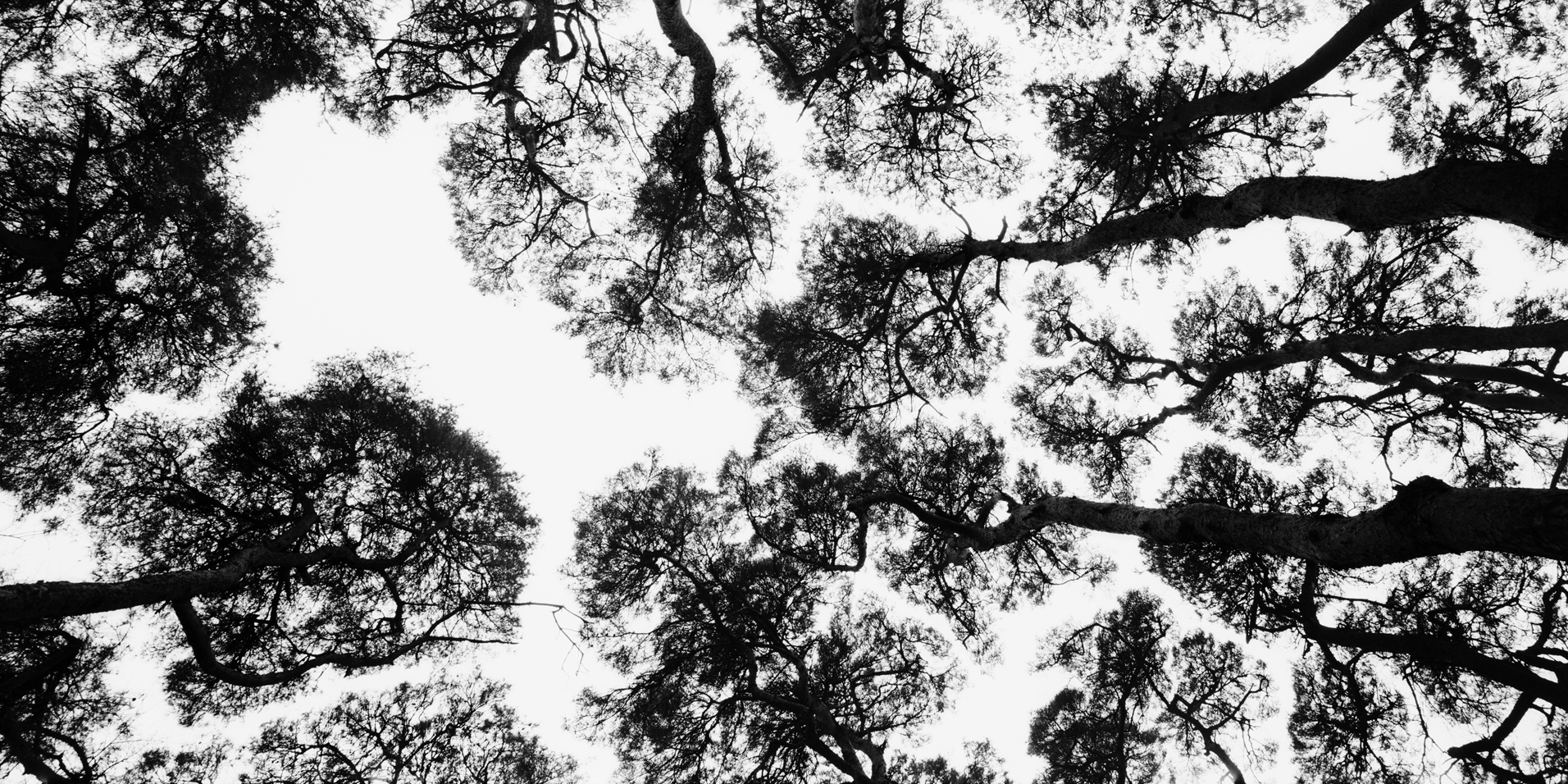 snm1a-084v_5096572_230207