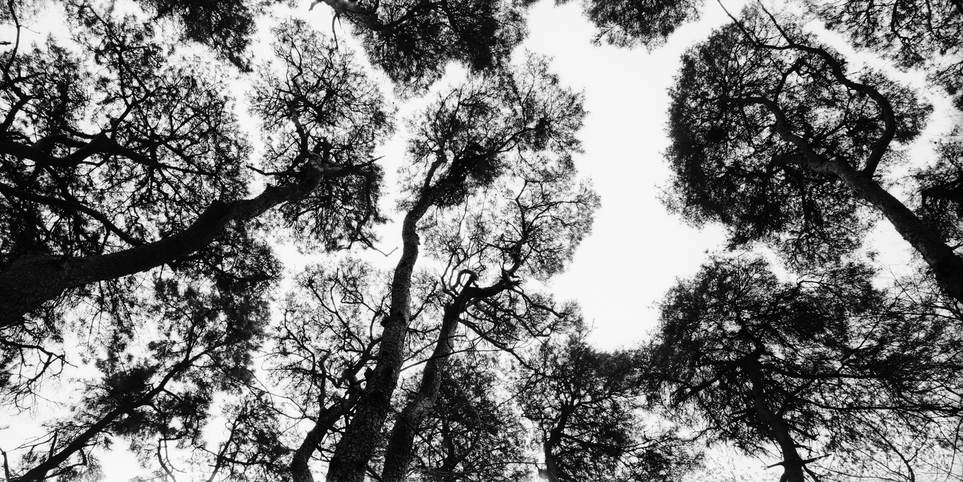 snm1a-085h_5096572_230207