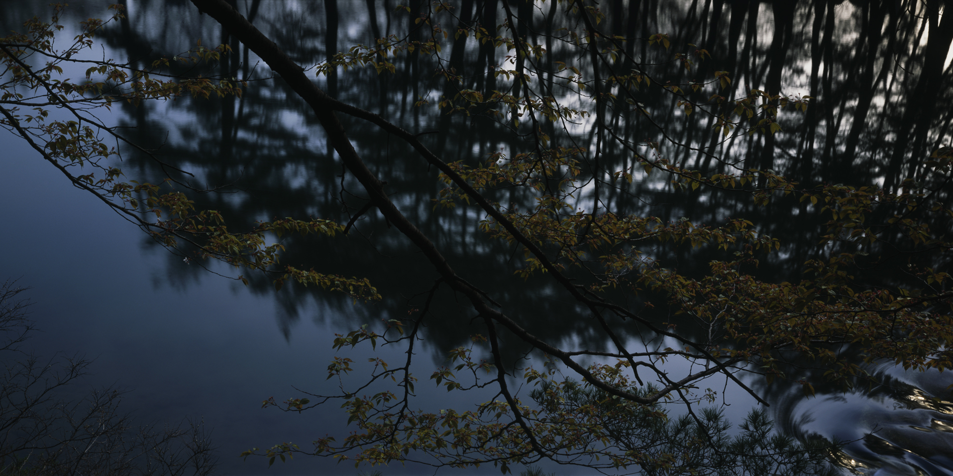 snm1a-086hc_5096572_230207