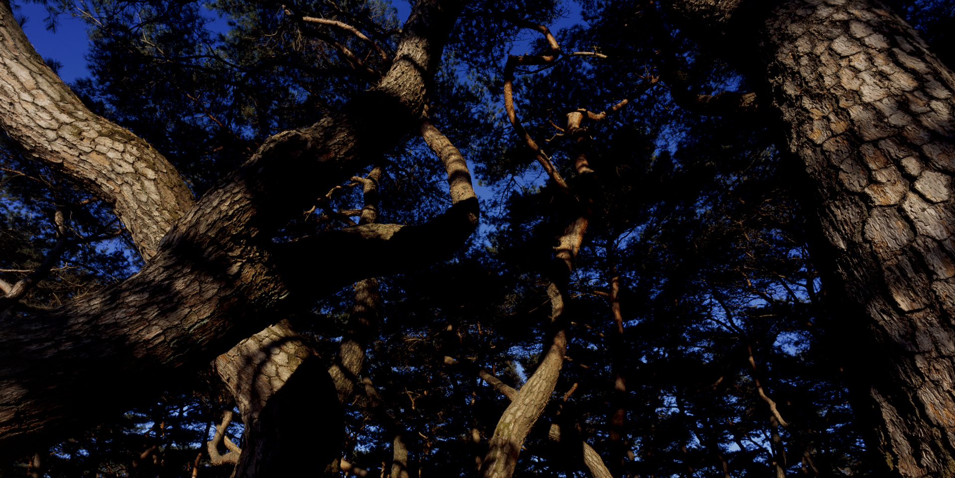 snm1a-087hc_5096572_230207