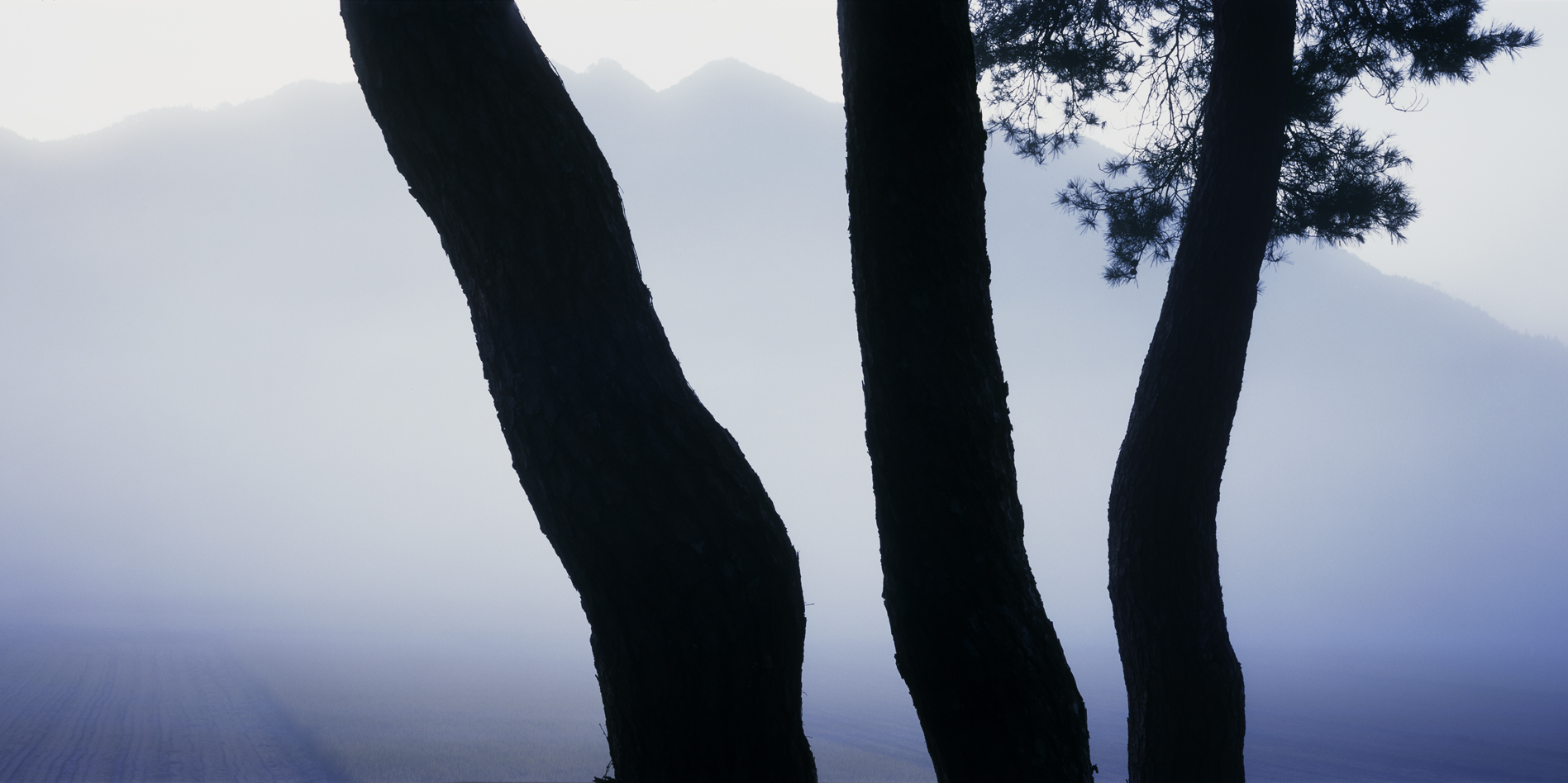 snm1a-088hc_5097524_300307