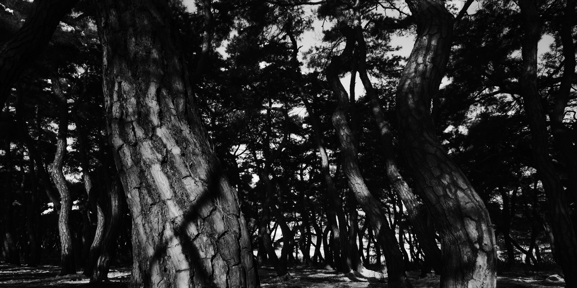 snm1a-089h_5097306_220307