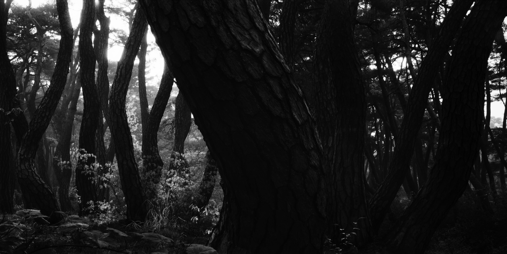 snm1a-090h_5096572_230207