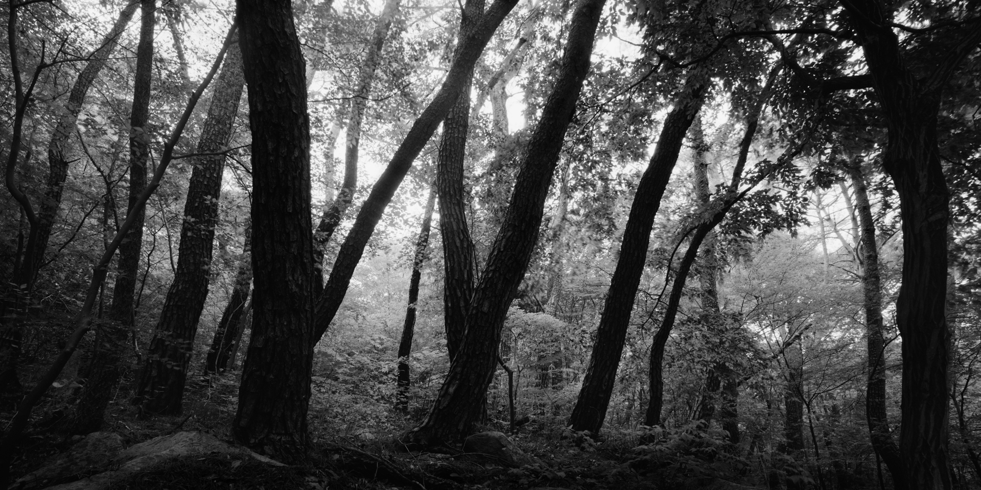 snm1a-095h_5099626_130707