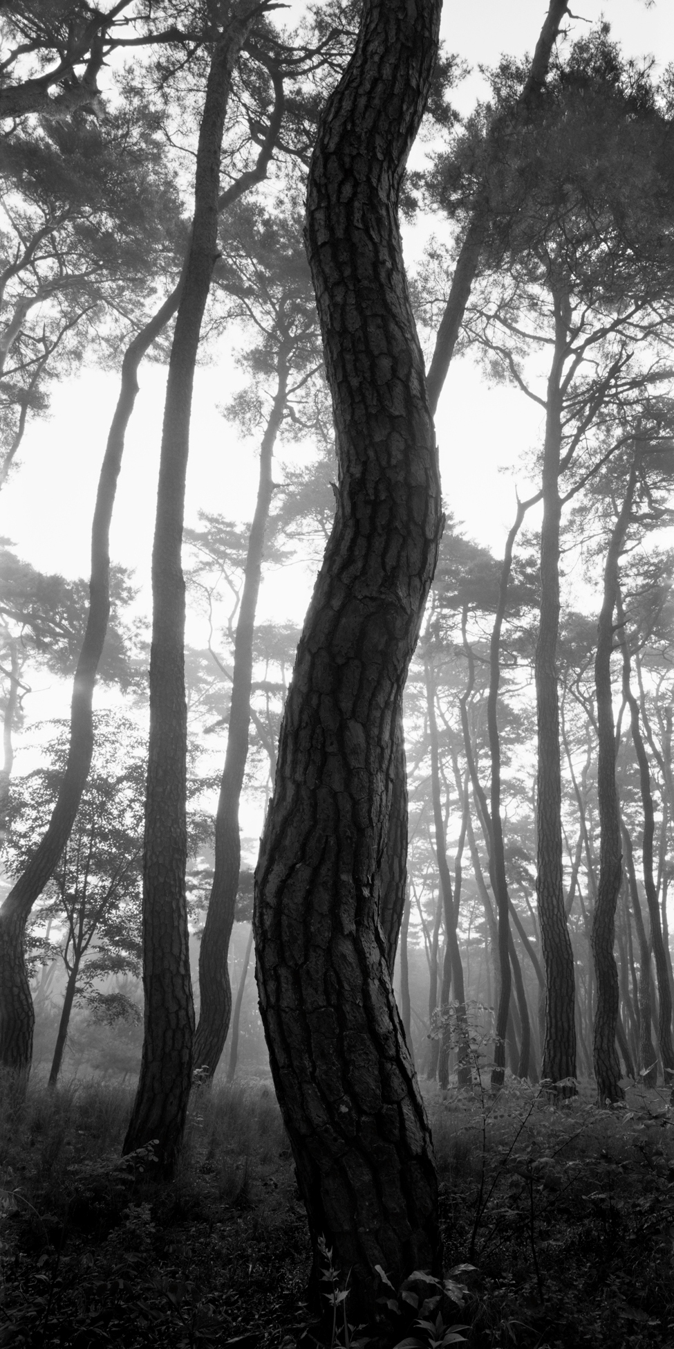 snm1a-100v_5097946_270407