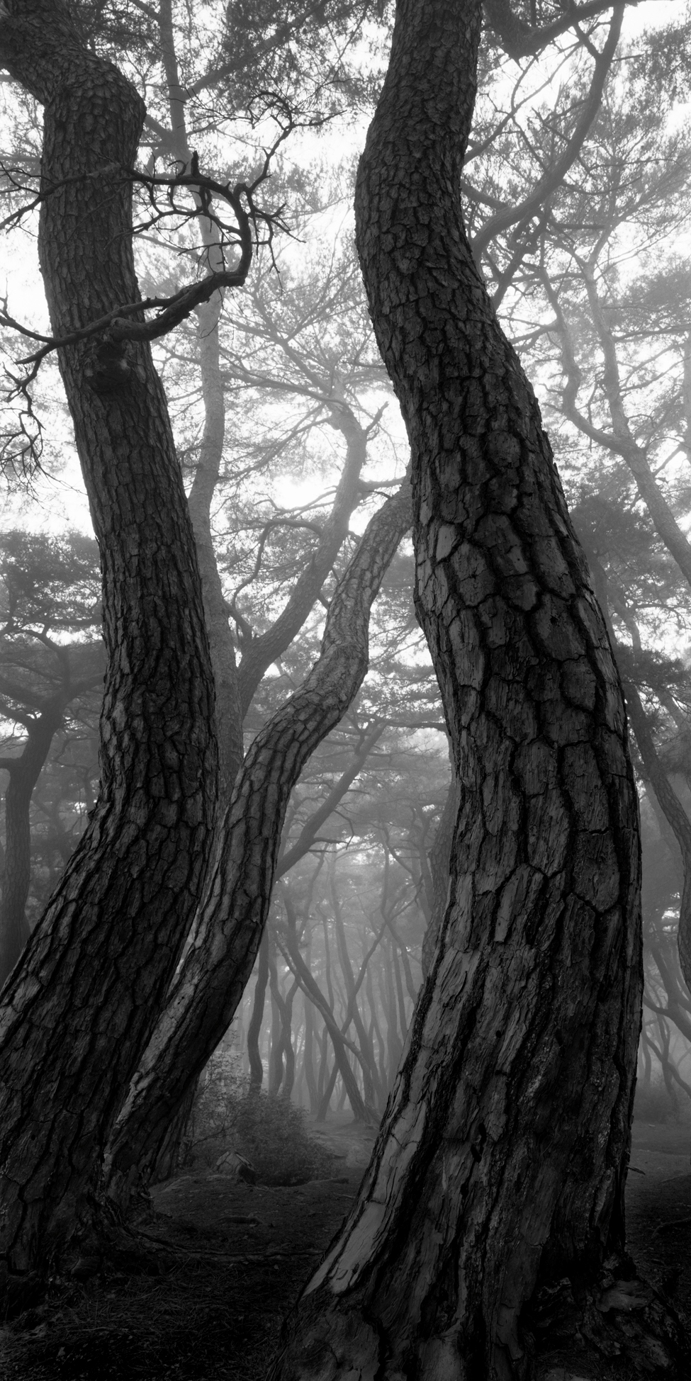 snm1a-101v_5097946_230407