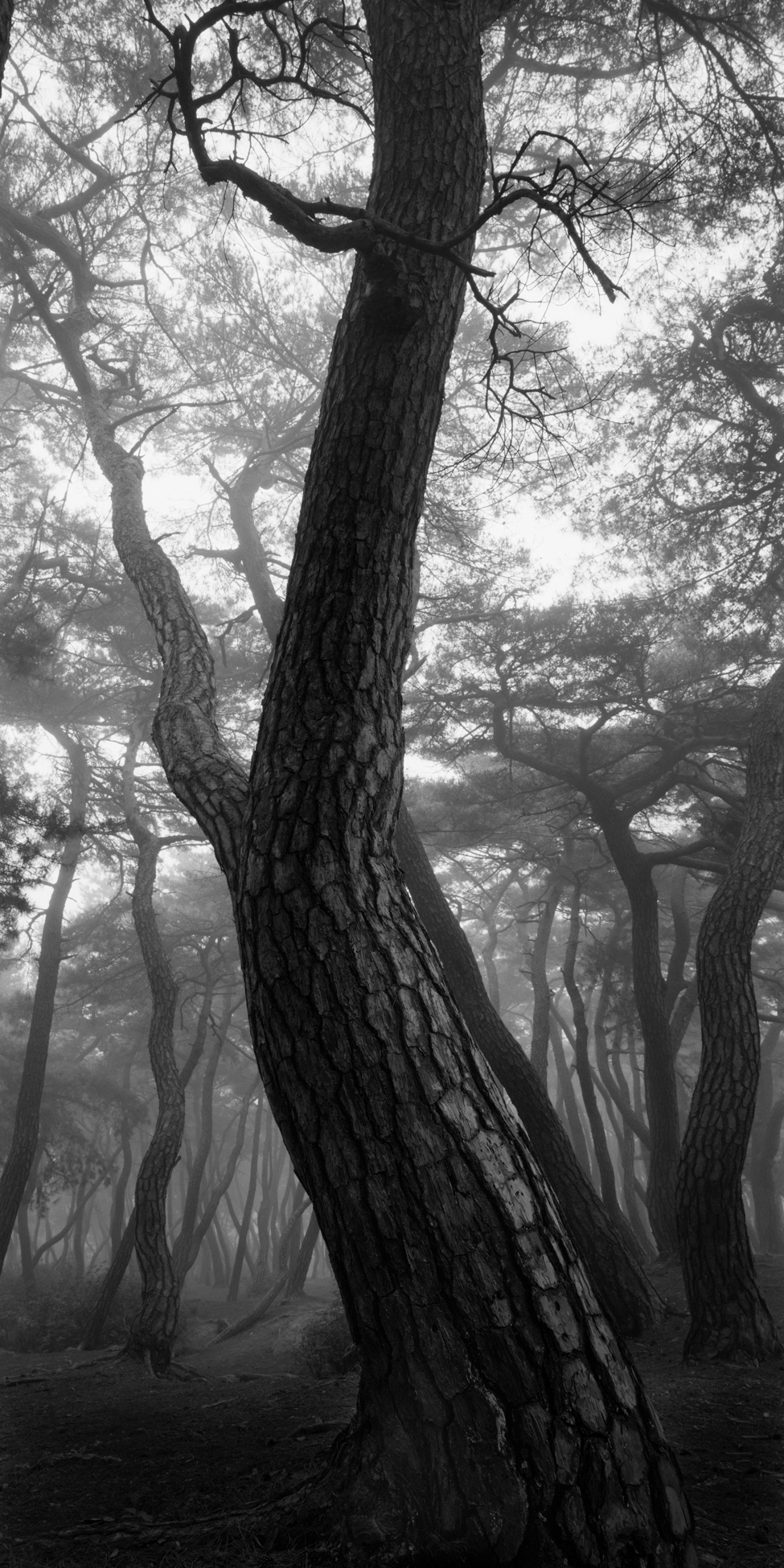 snm1a-102v_5097946_270407