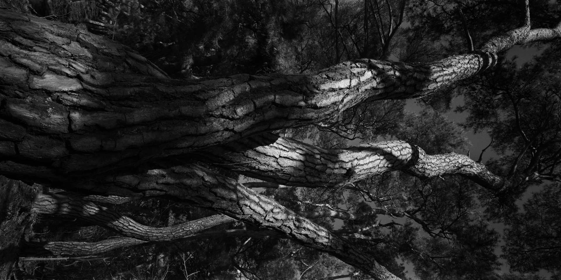 snm1a-103v_5101784_091007