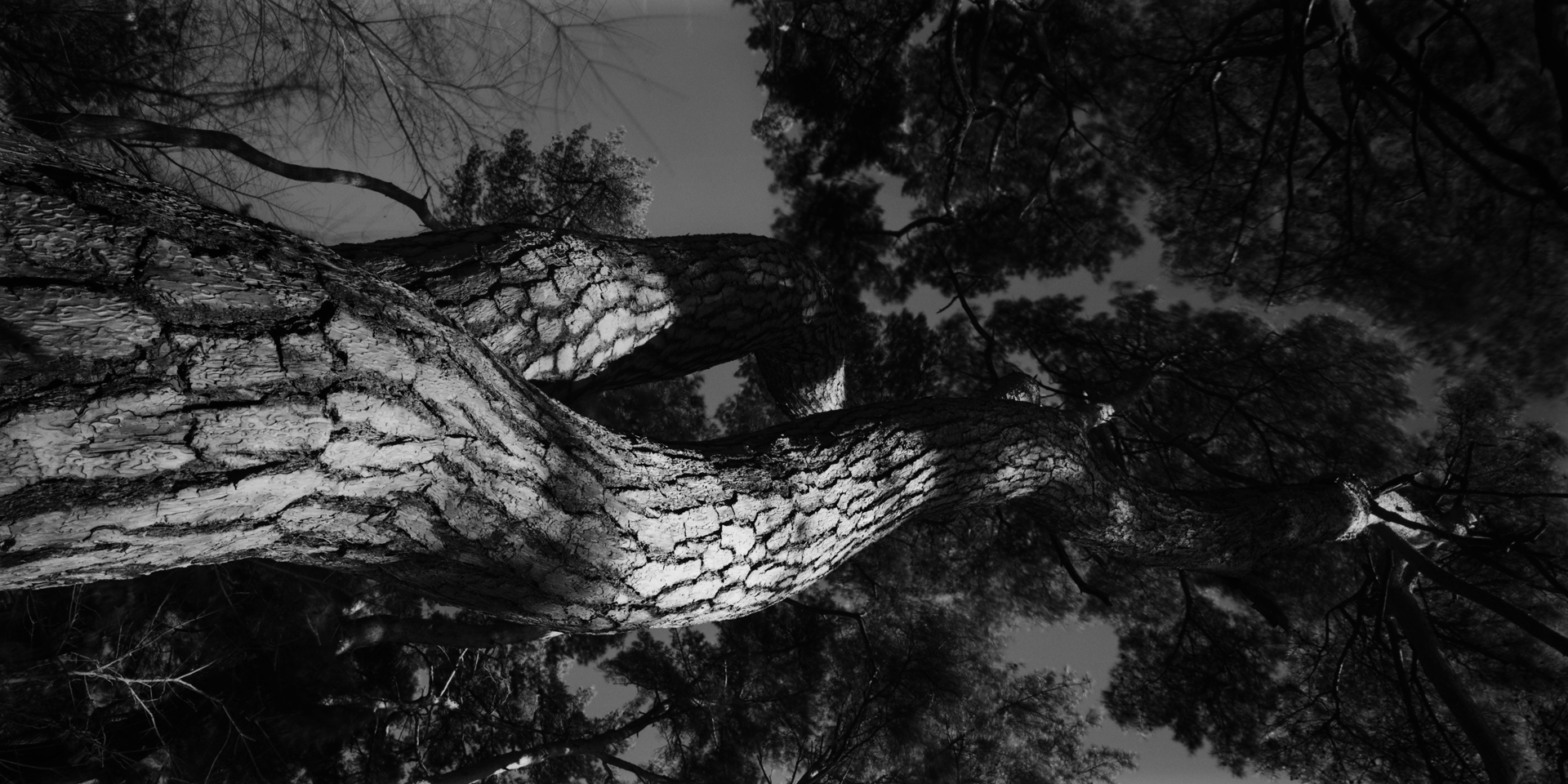 snm1a-104v_5101784_121007