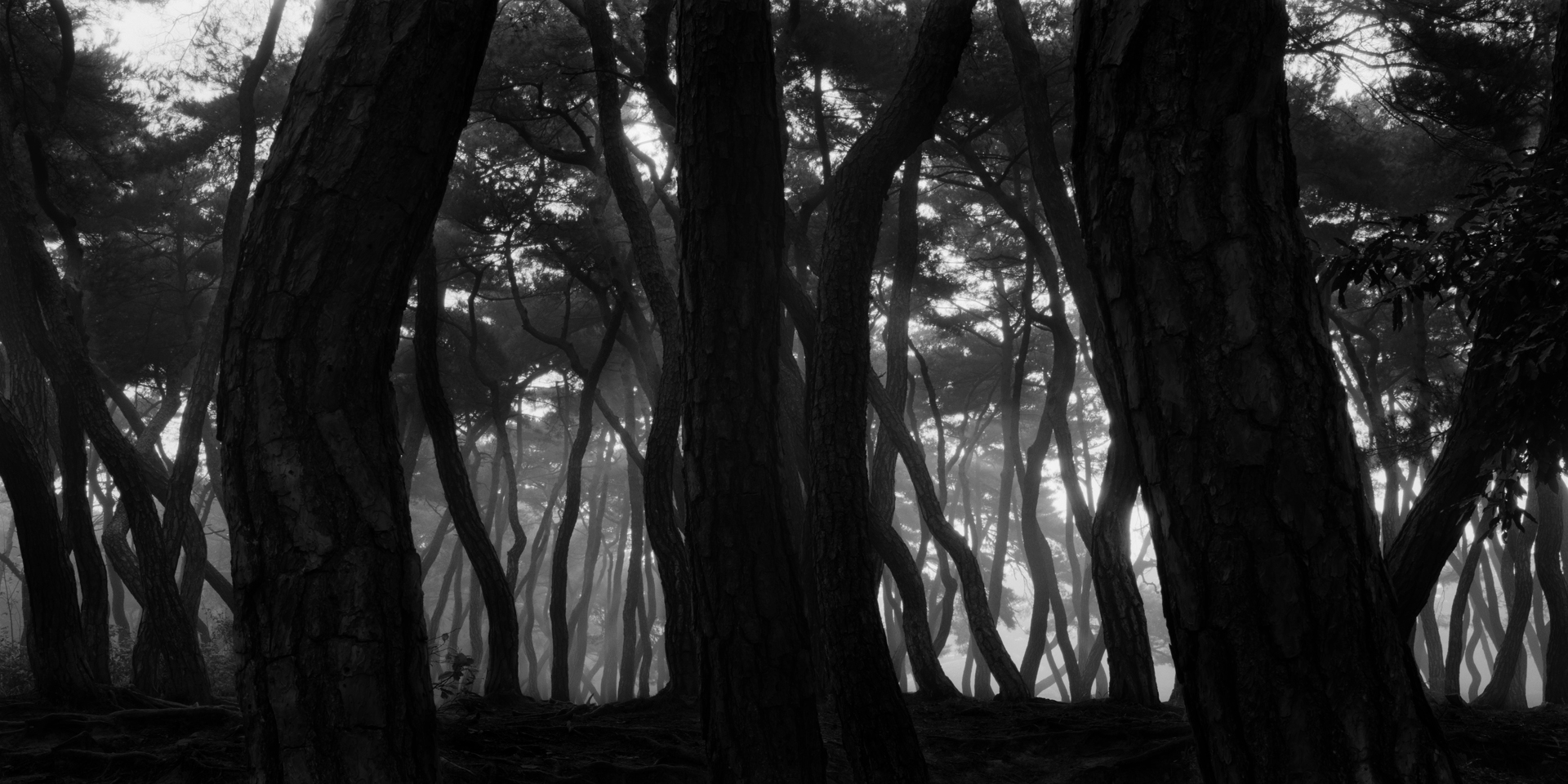 snm1a-105h_5101784_091007