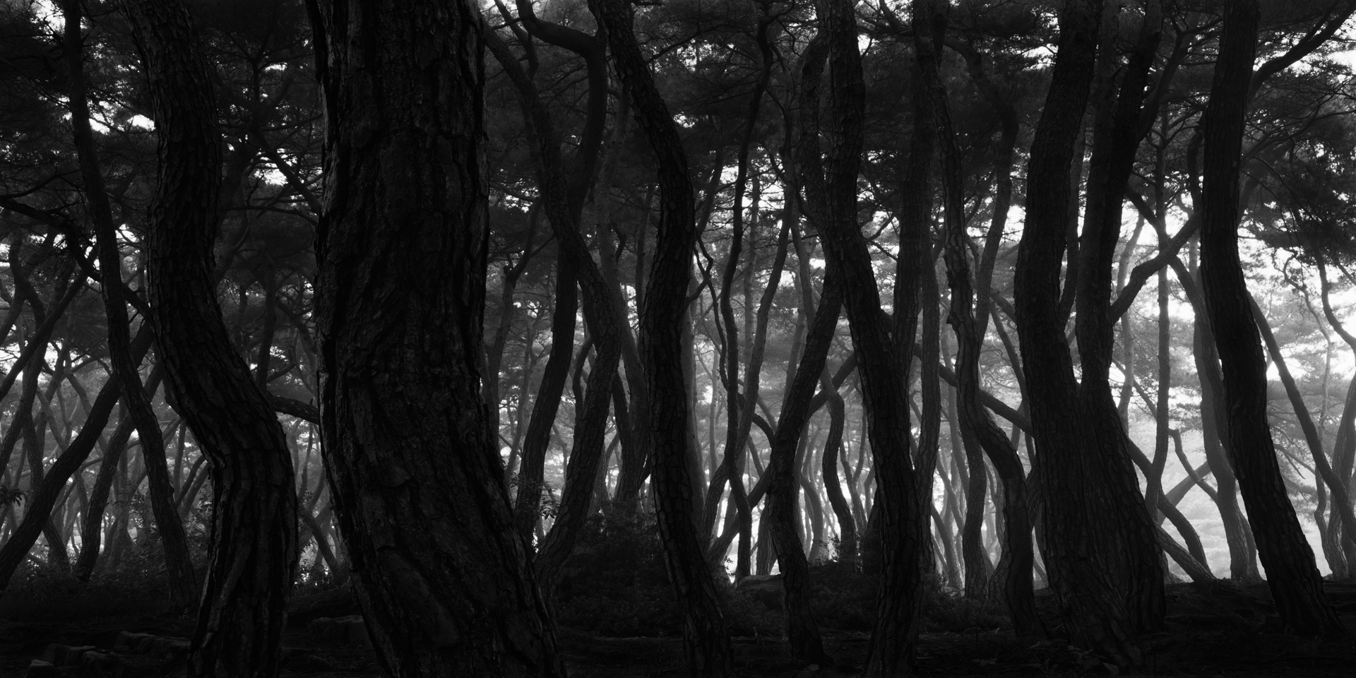 snm1a-106h_5101784_091007