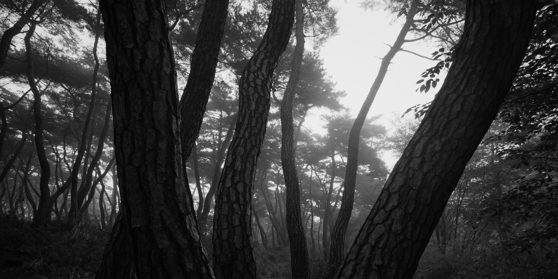 snm1a-107h_5107813_240608