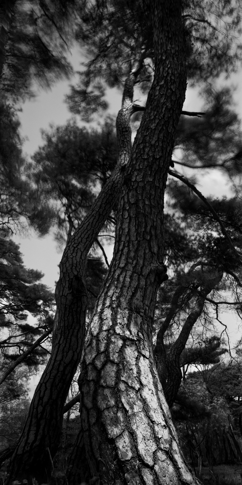 snm1a-110v_5101876_121007