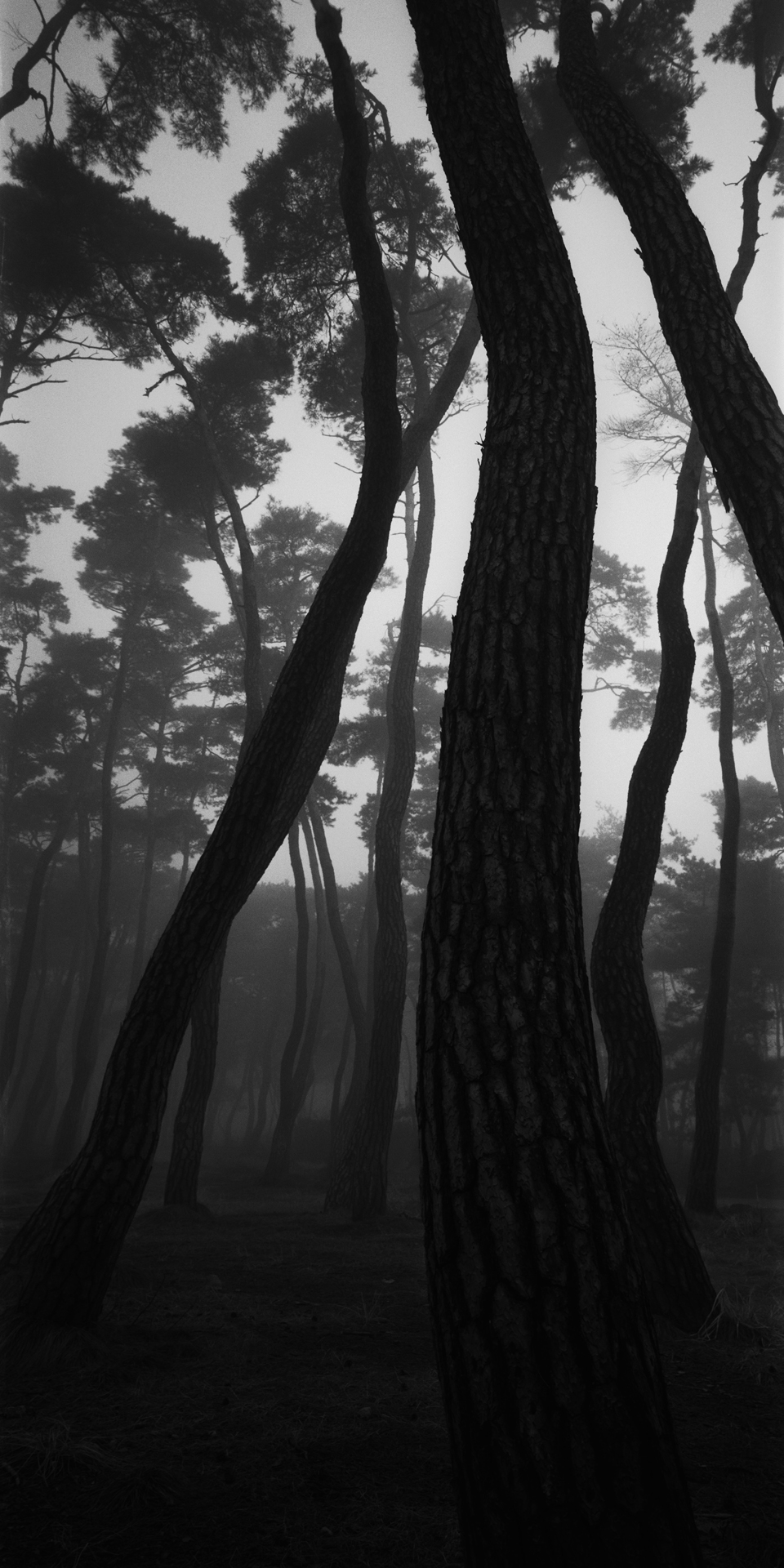 snm1a-111v_5101876_121007