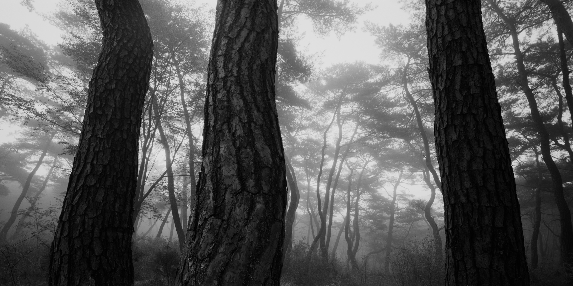 snm1a-112h_5107813_240608