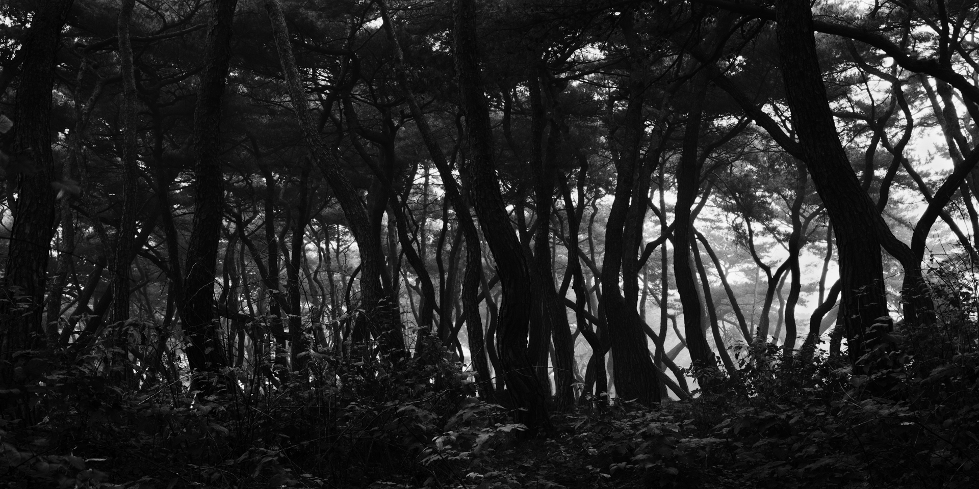 snm1a-113h_5101876_121007