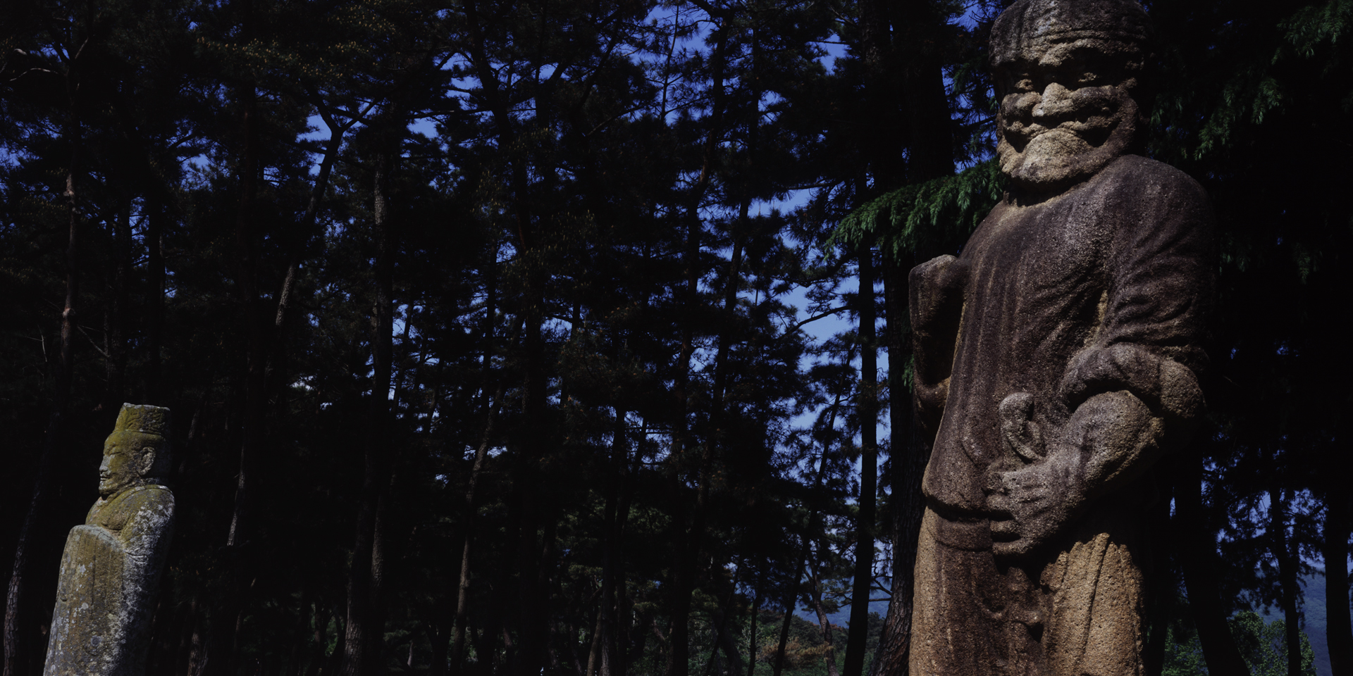 snm1a-116hc_5101936_241007