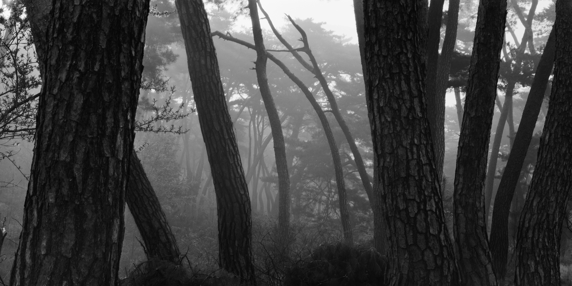 snm1a-118h_5107813_240608