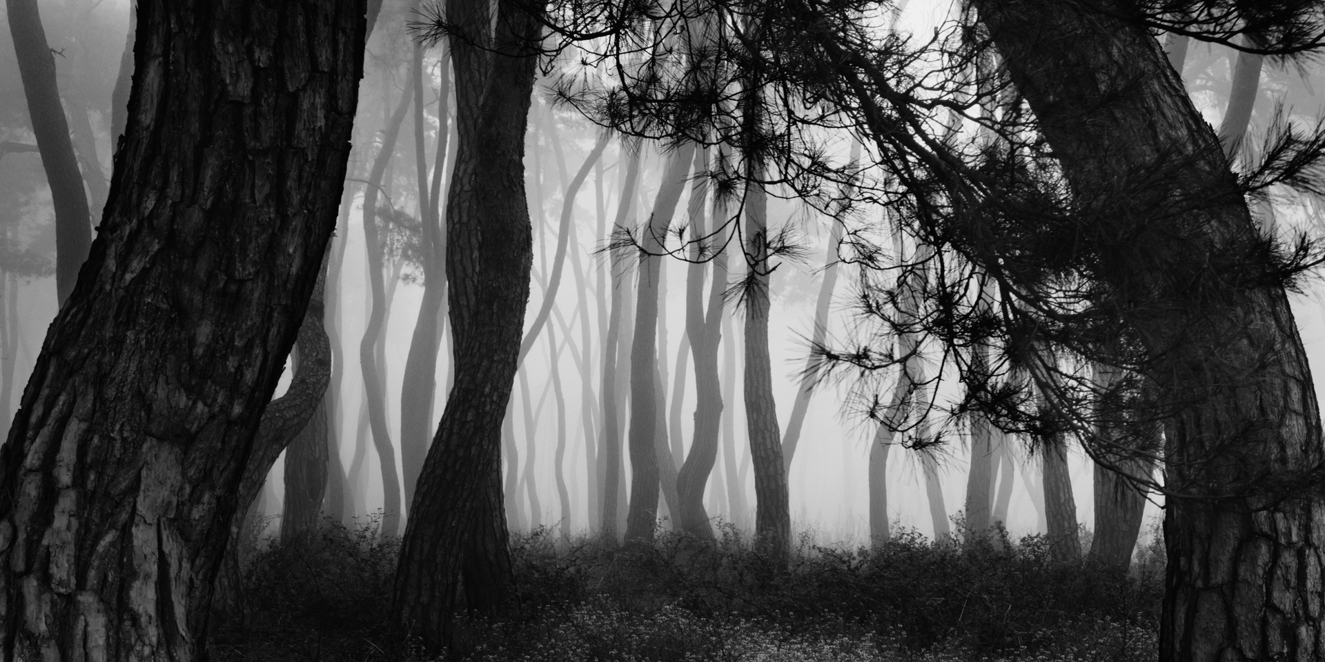 snm1a-166h_5107813_240608