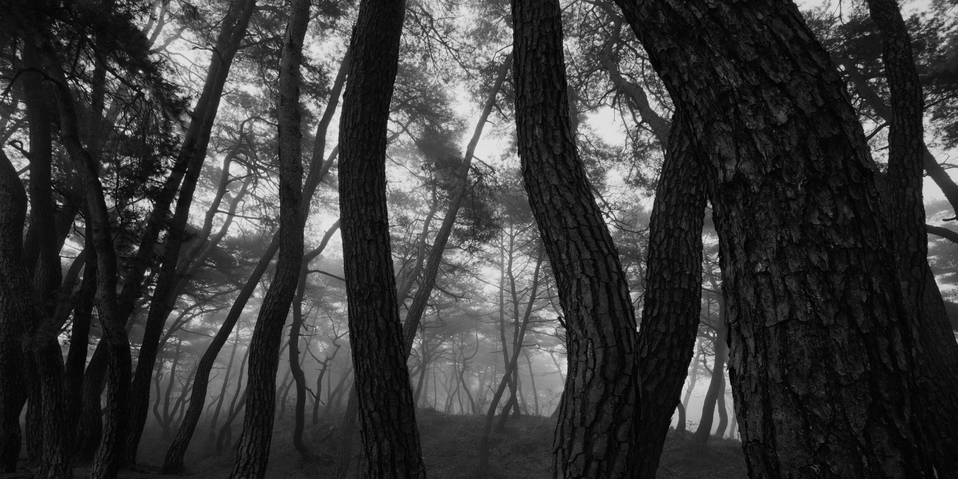 snm1a-195h_5107813_230608